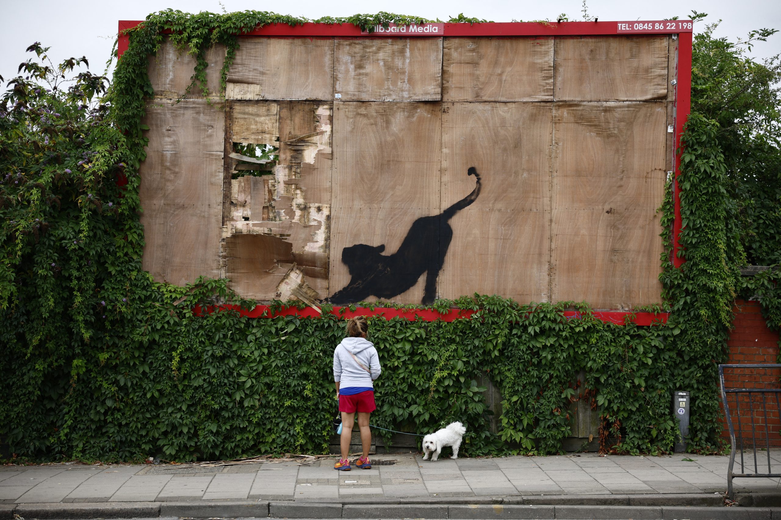 Um gato preto. Bansky confirma ser autor de 6.ª obra da série “Zoológico de Londres”