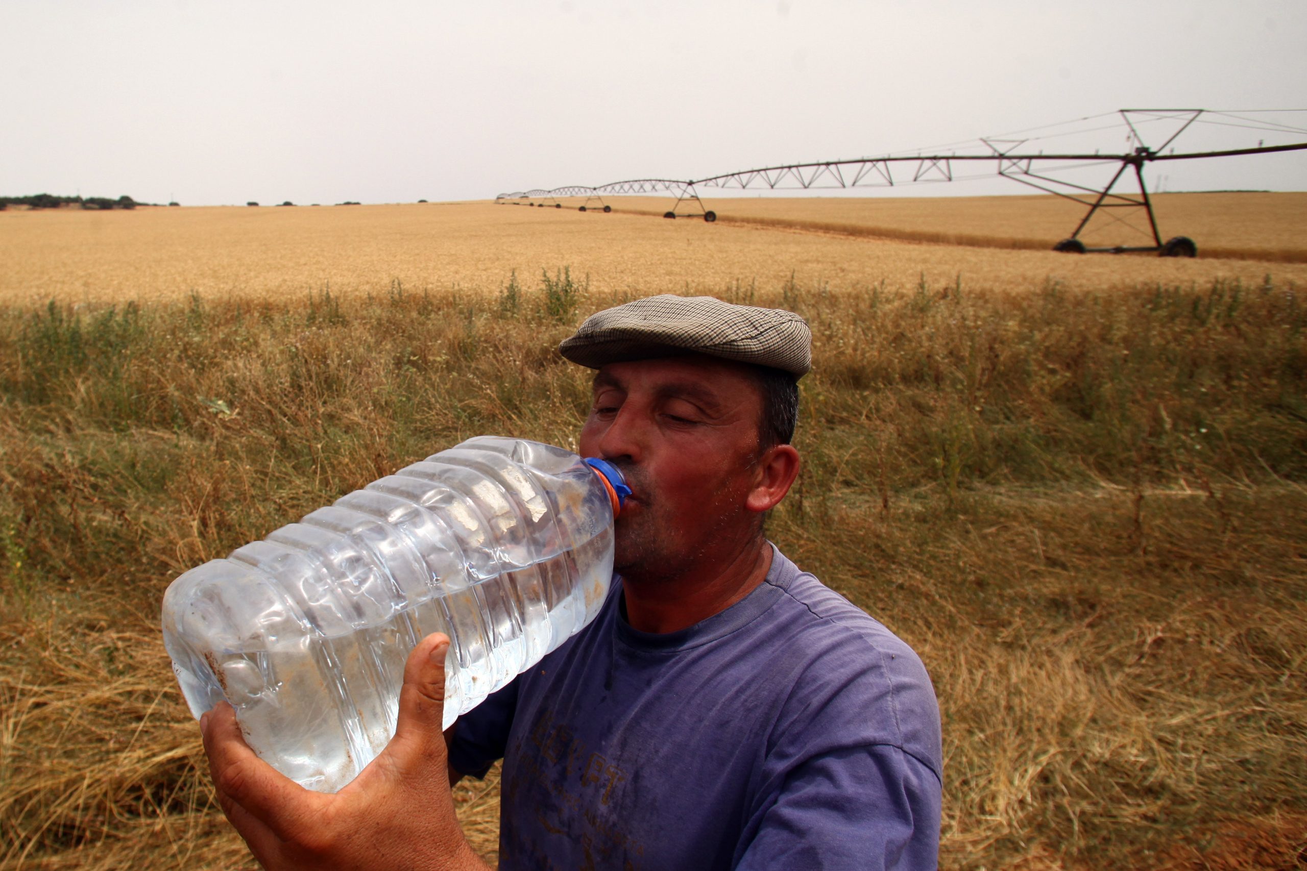 Governo lembra que seguros cobrem danos na agricultura provocados pelo calor