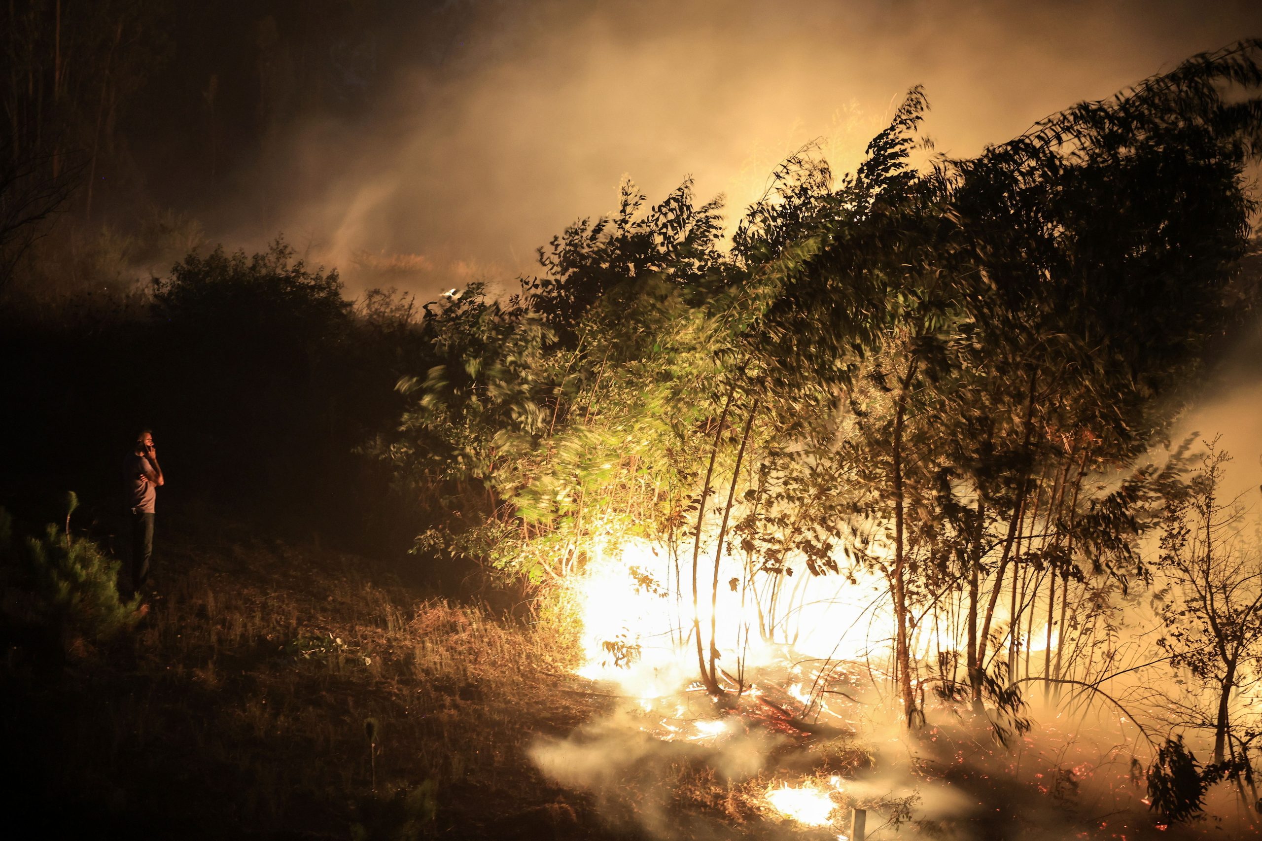 Homem de 88 anos detido por suspeita de provocar dois incêndios florestais em Oliveira de Azeméis