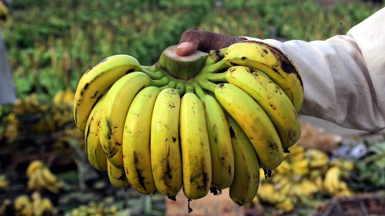 Comércio mundial livre: críticas e desconfianças apertam o cerco