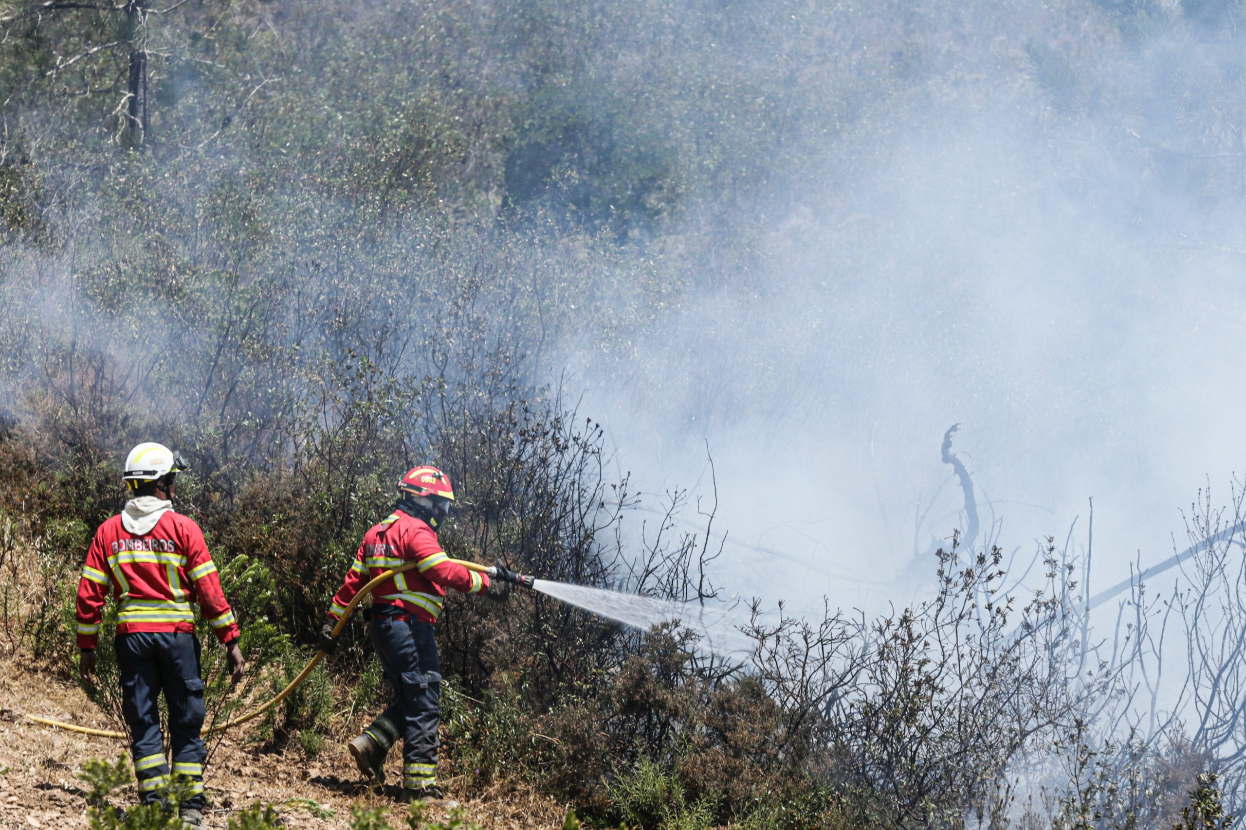 Incêndio no Algarve permanece ativo mas sem habitações em risco