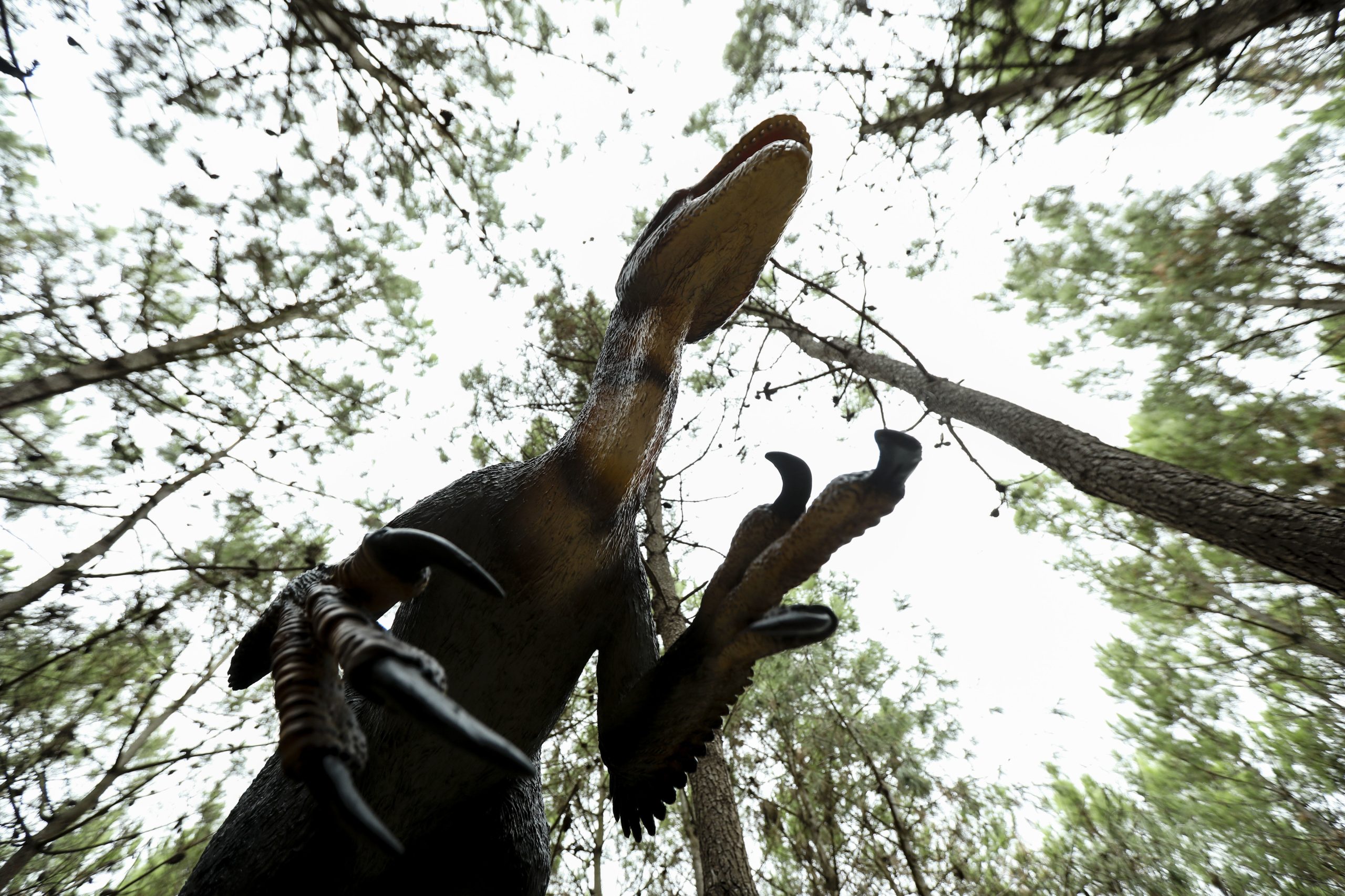 Dino Parque da Lourinhã recebe dinossauro mais antigo da Europa