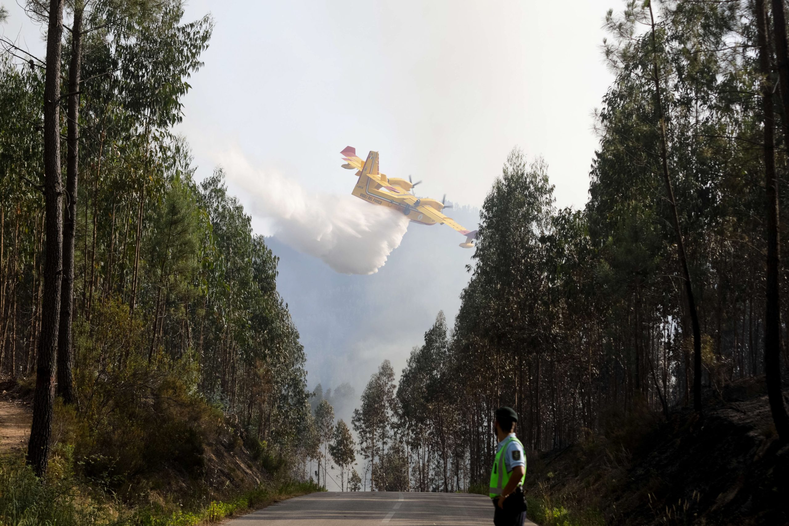 Incêndios de Góis e Pedrógão Grande fazem 204 feridos
