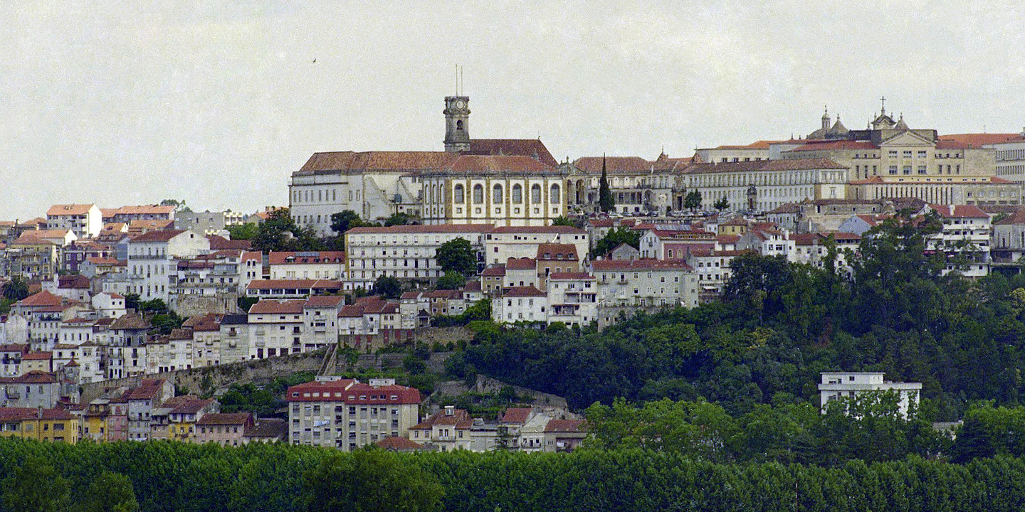 Universidade de Coimbra cria serviço de prescrição social. Quer combater o isolamento e melhorar qualidade de vida académica