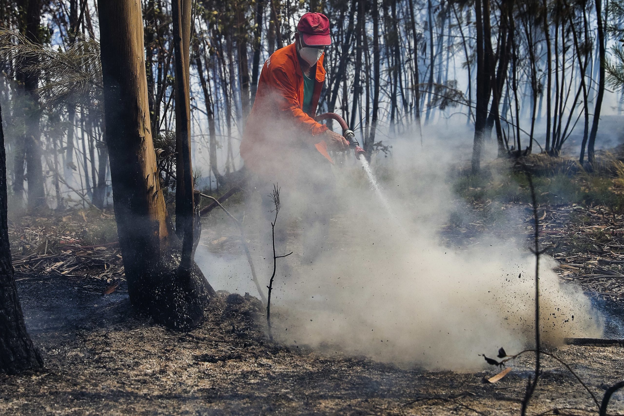 Homem detido após queimada descontrolada provocar incêndio florestal