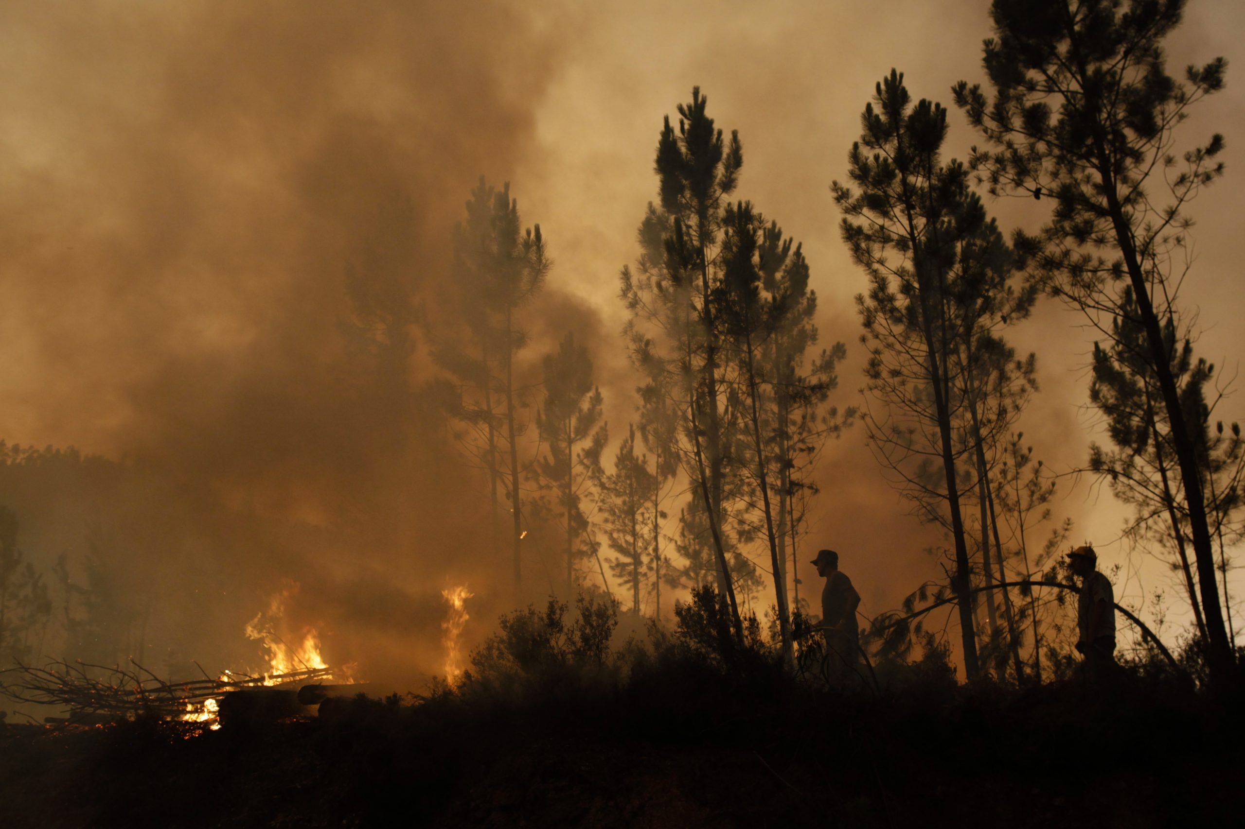 Dois incêndios em Soure, Coimbra, combatidos às 17:45 por mais de 200 bombeiros