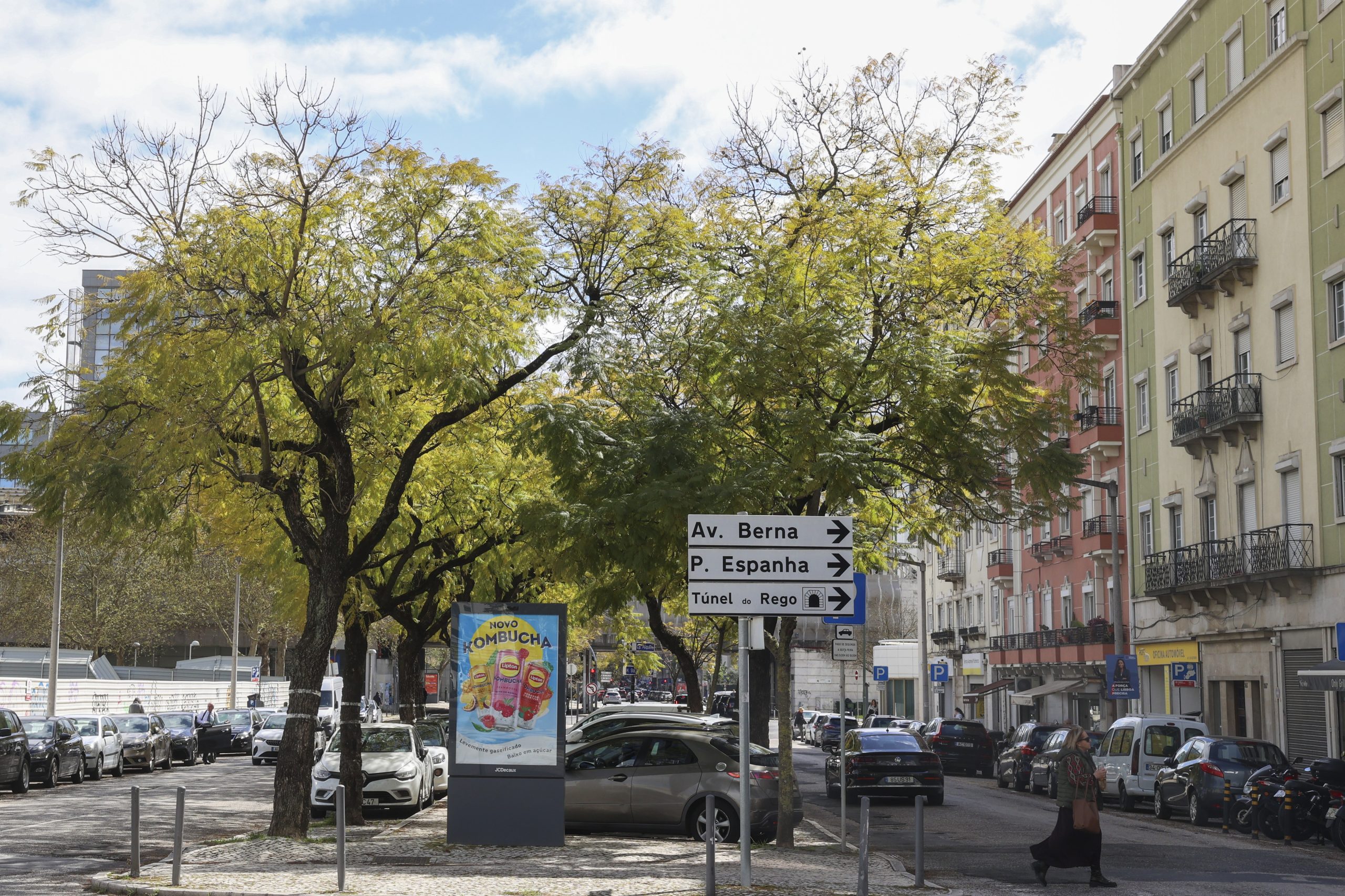 População contra abate de jacarandás na 5 de Outubro. Câmara promete esclarecimentos esta tarde