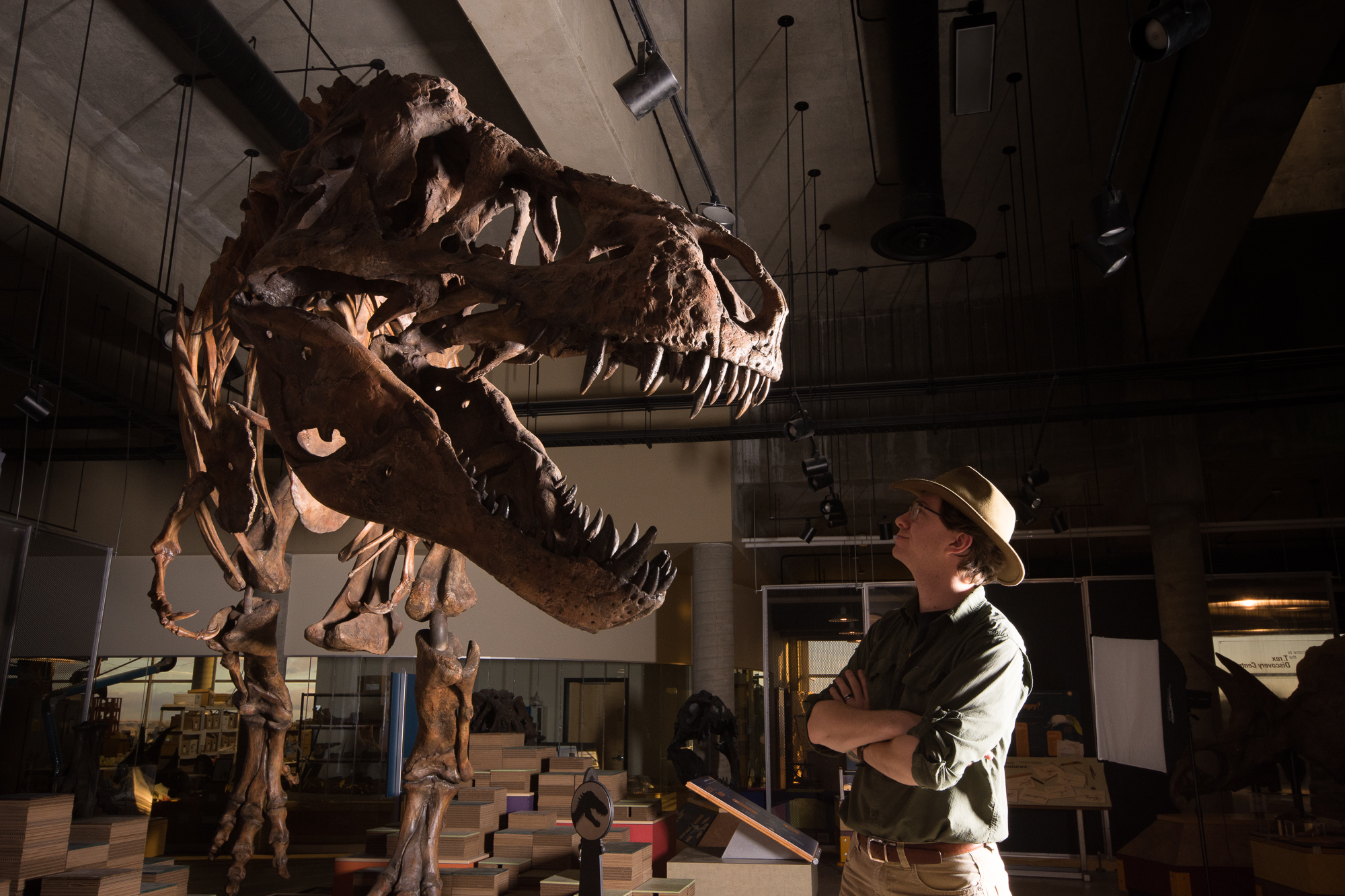Chama-se Scotty, foi descoberto em 1991 e é o maior Tiranossauro Rex do mundo