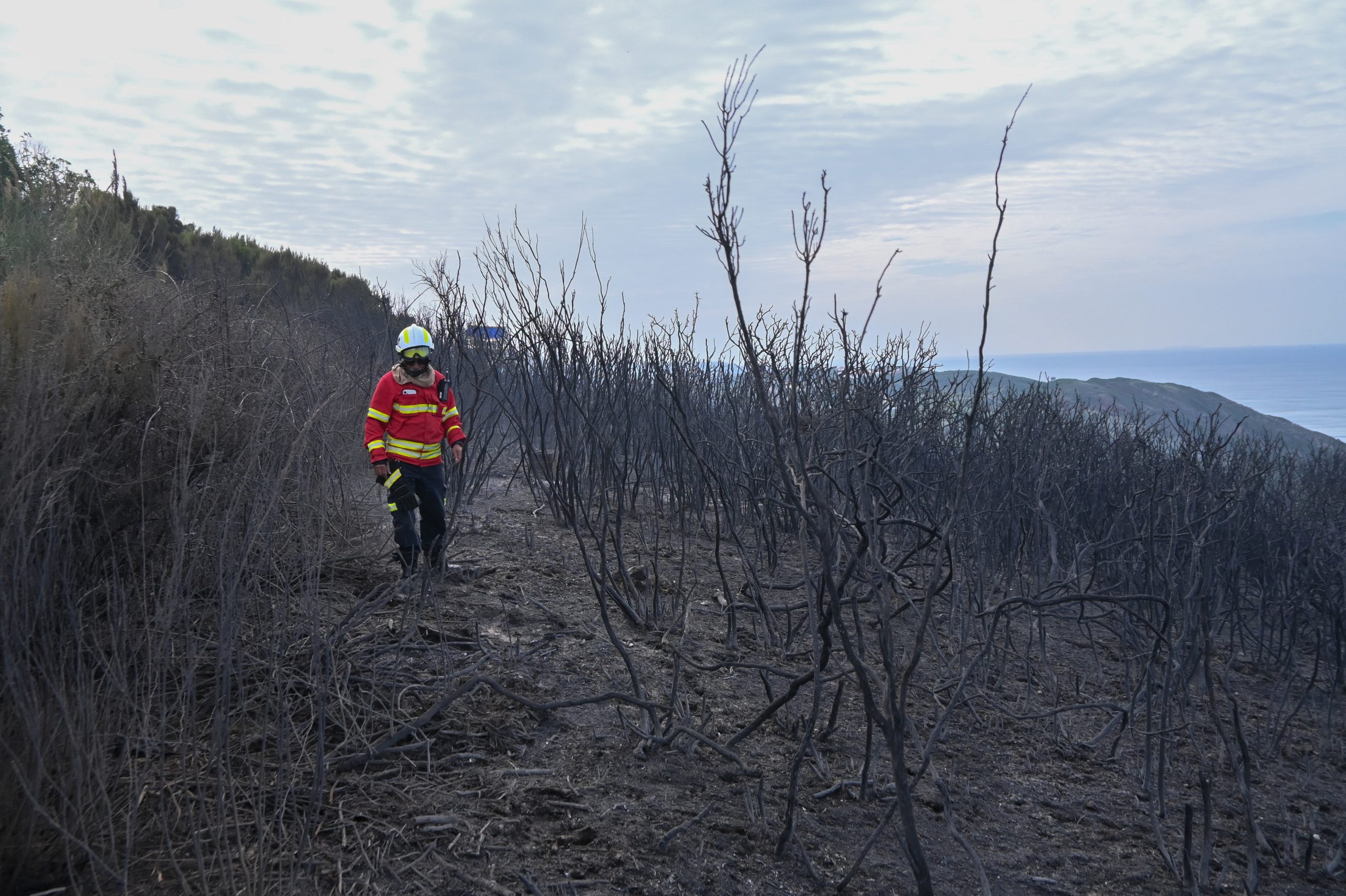 Incêndio em Alter do Chão. Mais de 100 operacionais e sete meios aéreos no terreno