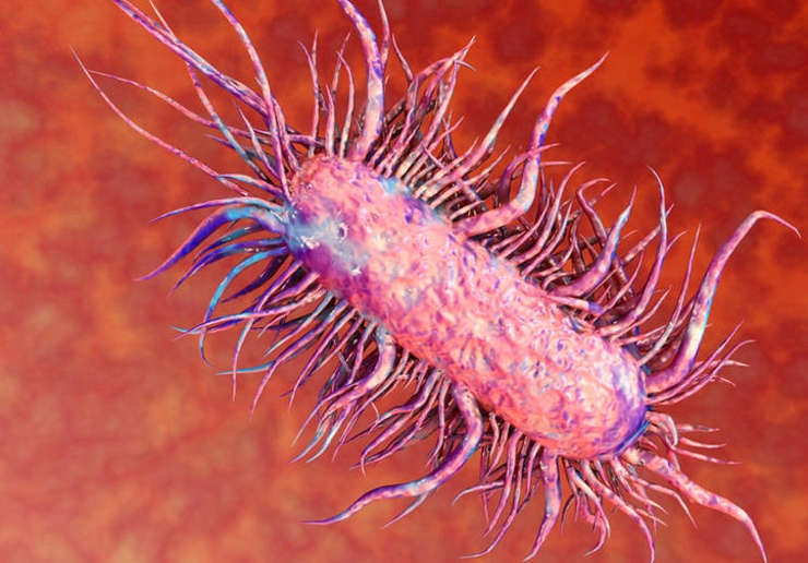Reprogramação genética permite criar primeiro ser vivo com 100% do ADN feito em laboratório