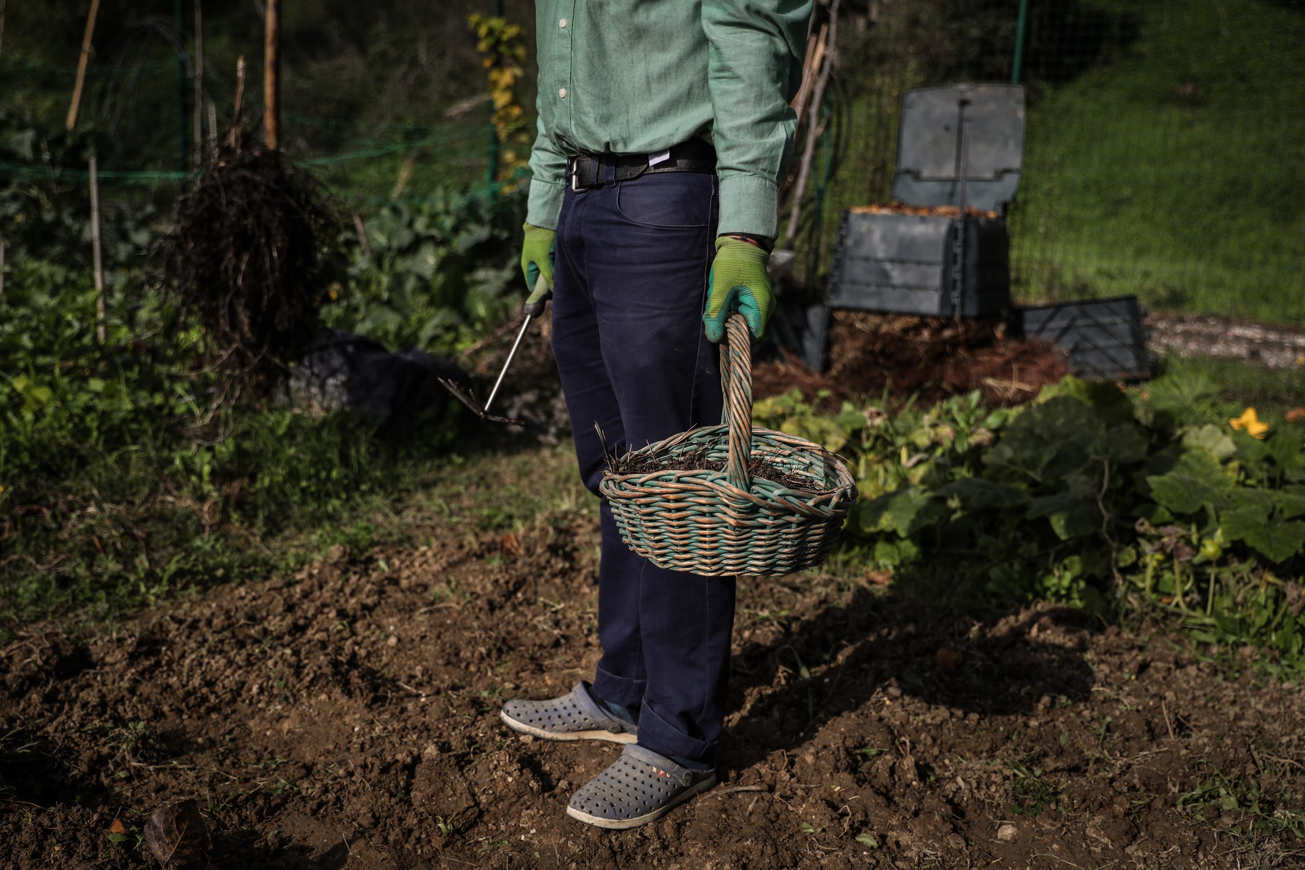 Direção de Agricultura do Algarve cede terrenos para hortas sociais em Faro