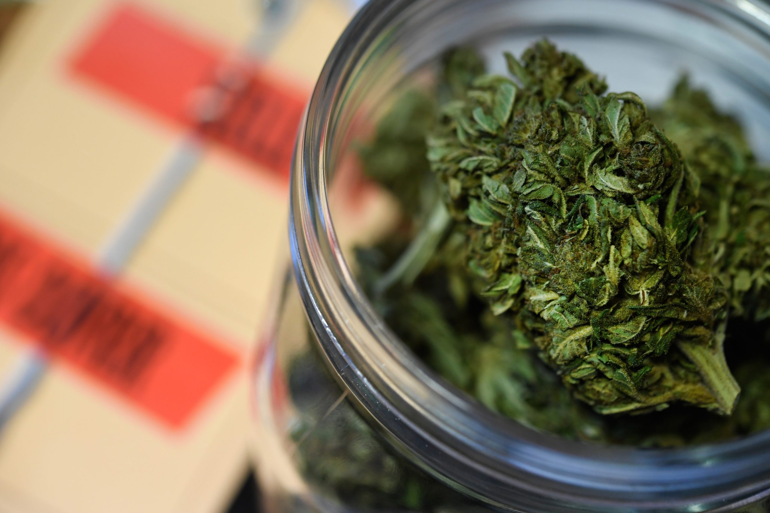 Empresa canadiana produz canábis medicinal no Alentejo em terras arrendadas ao Esporão