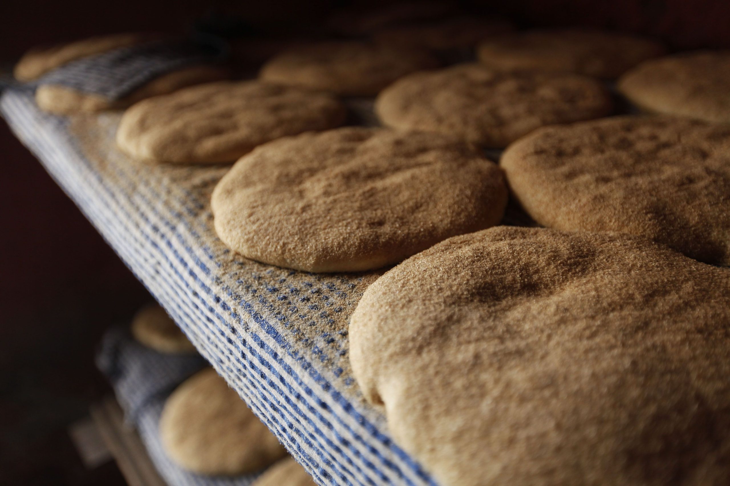 Grupo de padaria na Finlândia começa a vender pão feito com farinha de grilo
