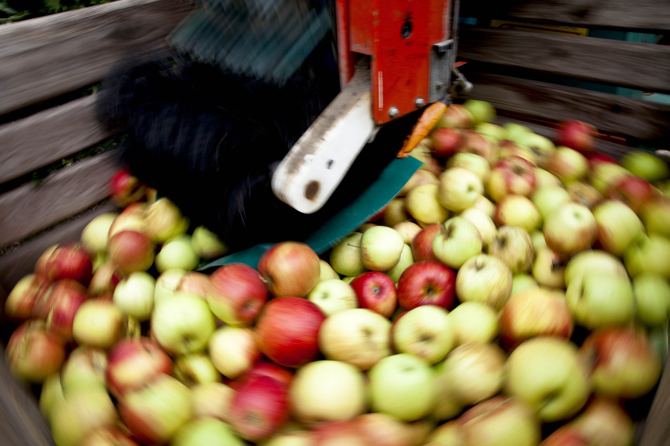 Primavera chuvosa e verão quente ditam mau ano agrícola