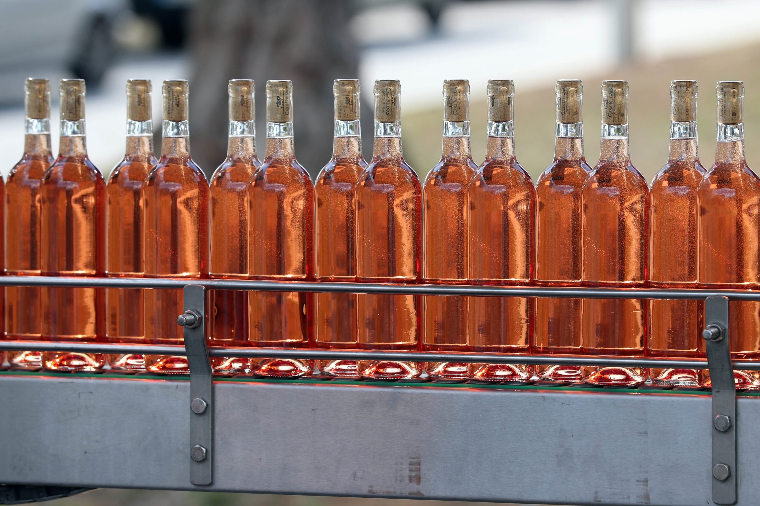 Engarrafadores vão ter de enviar rótulo ao IVV antes de o vinho chegar ao mercado