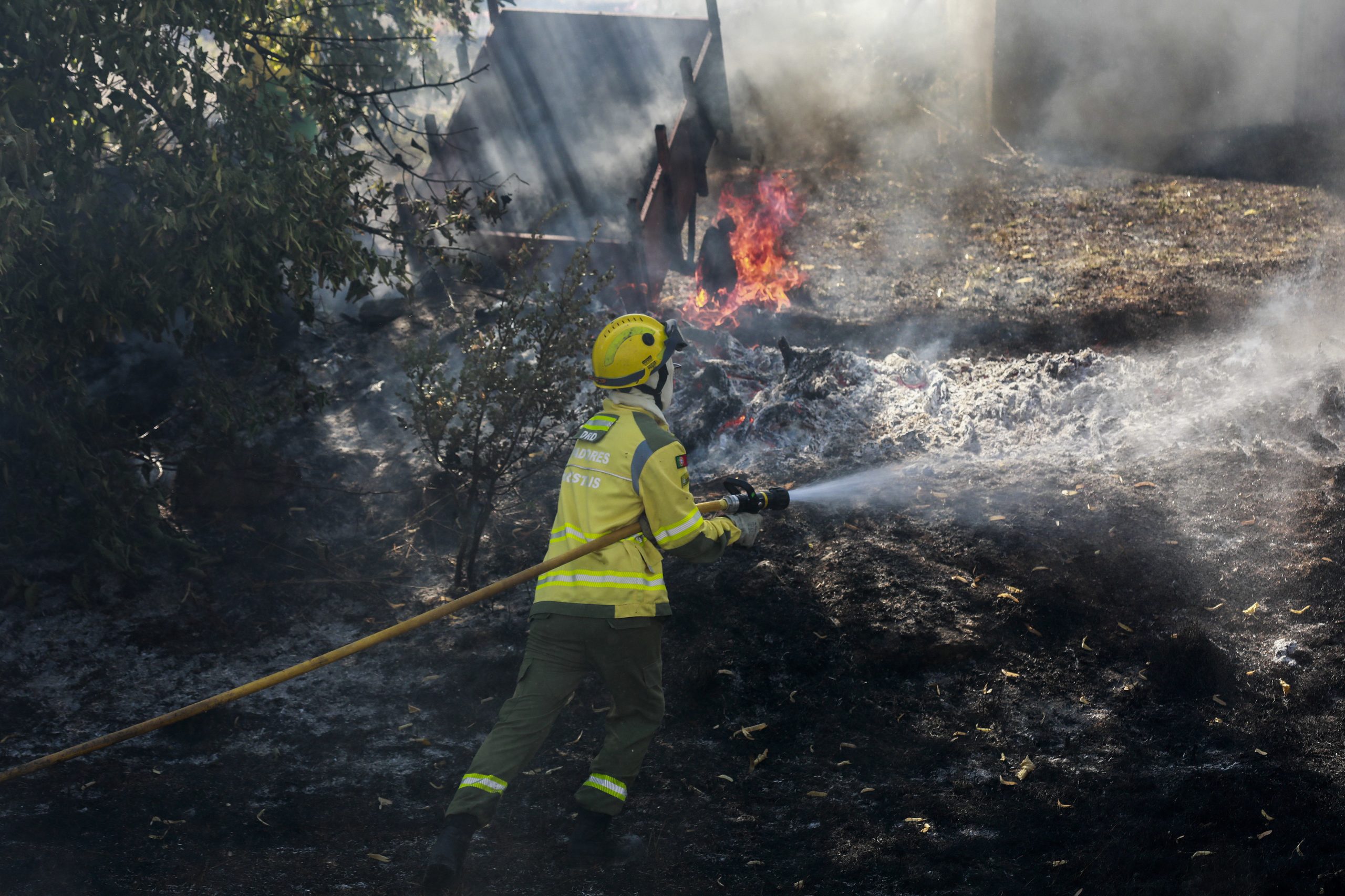 PJ detém suspeito de dois incêndios em Pinhel