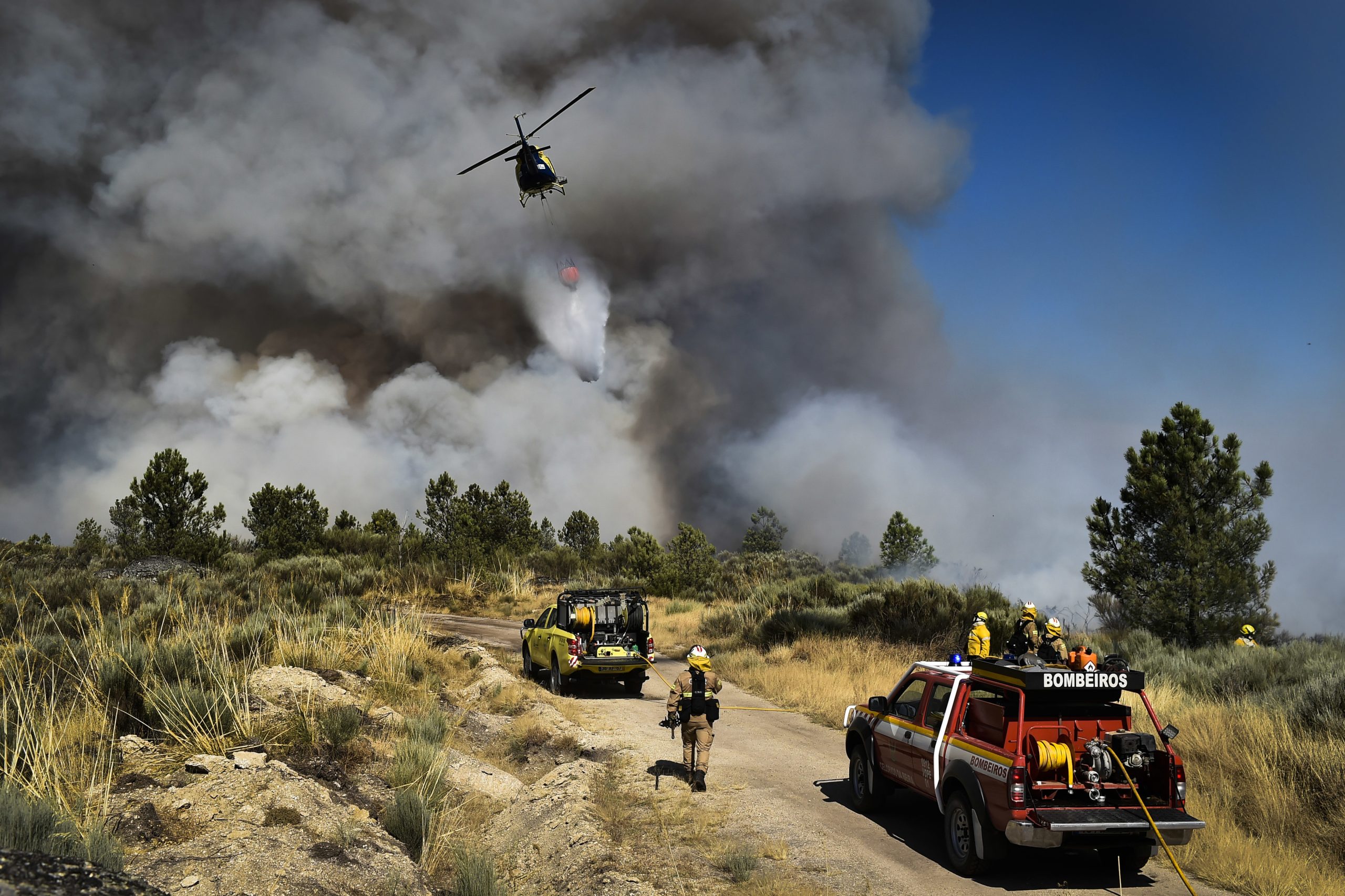 Incêndios: mais de 160 equipa e 800 operacionais em prontidão nas Beiras e Serra da Estrela