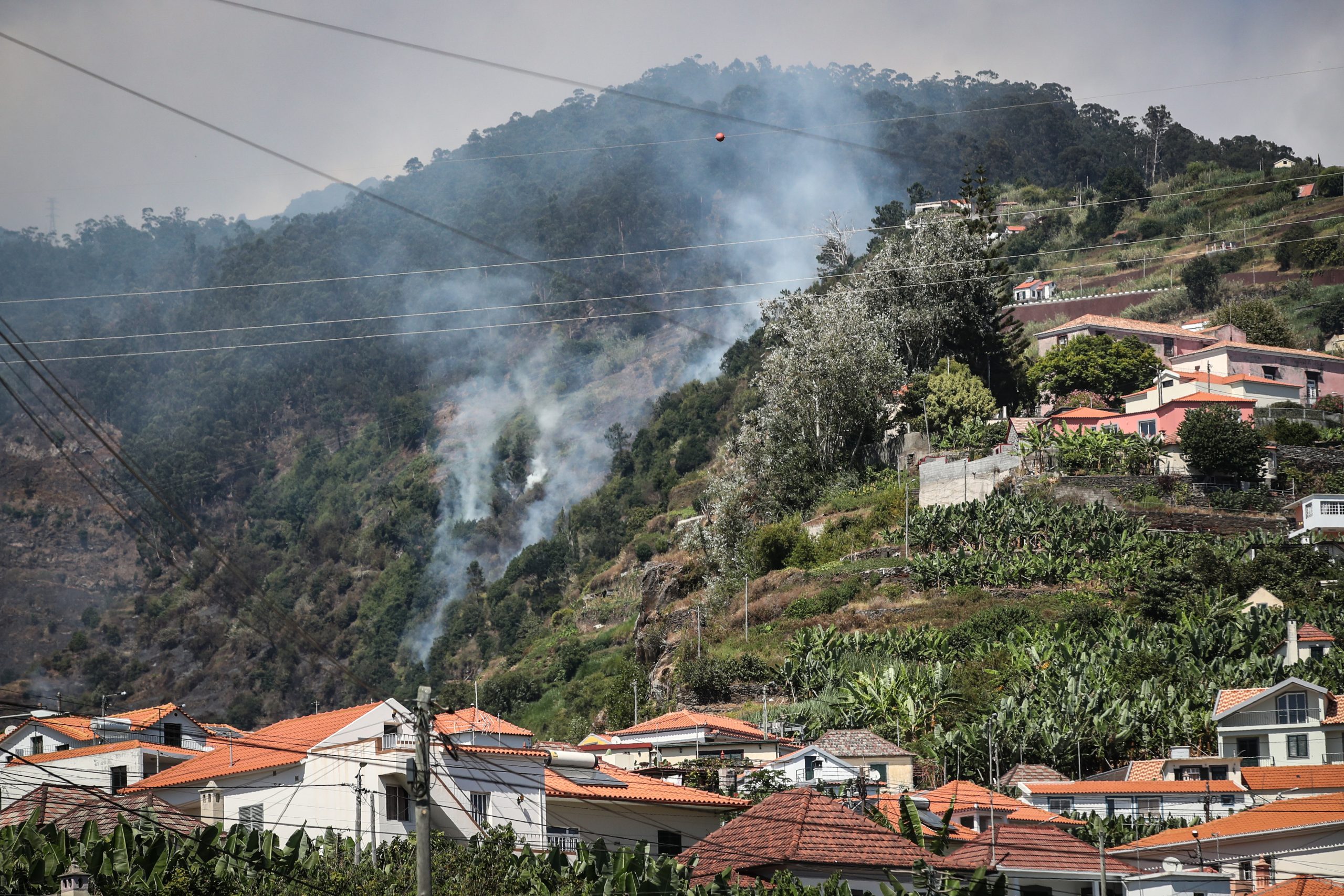 Madeira: PS acusa Governo Regional de omitir informações para “esconder a negligência no combate aos fogos”