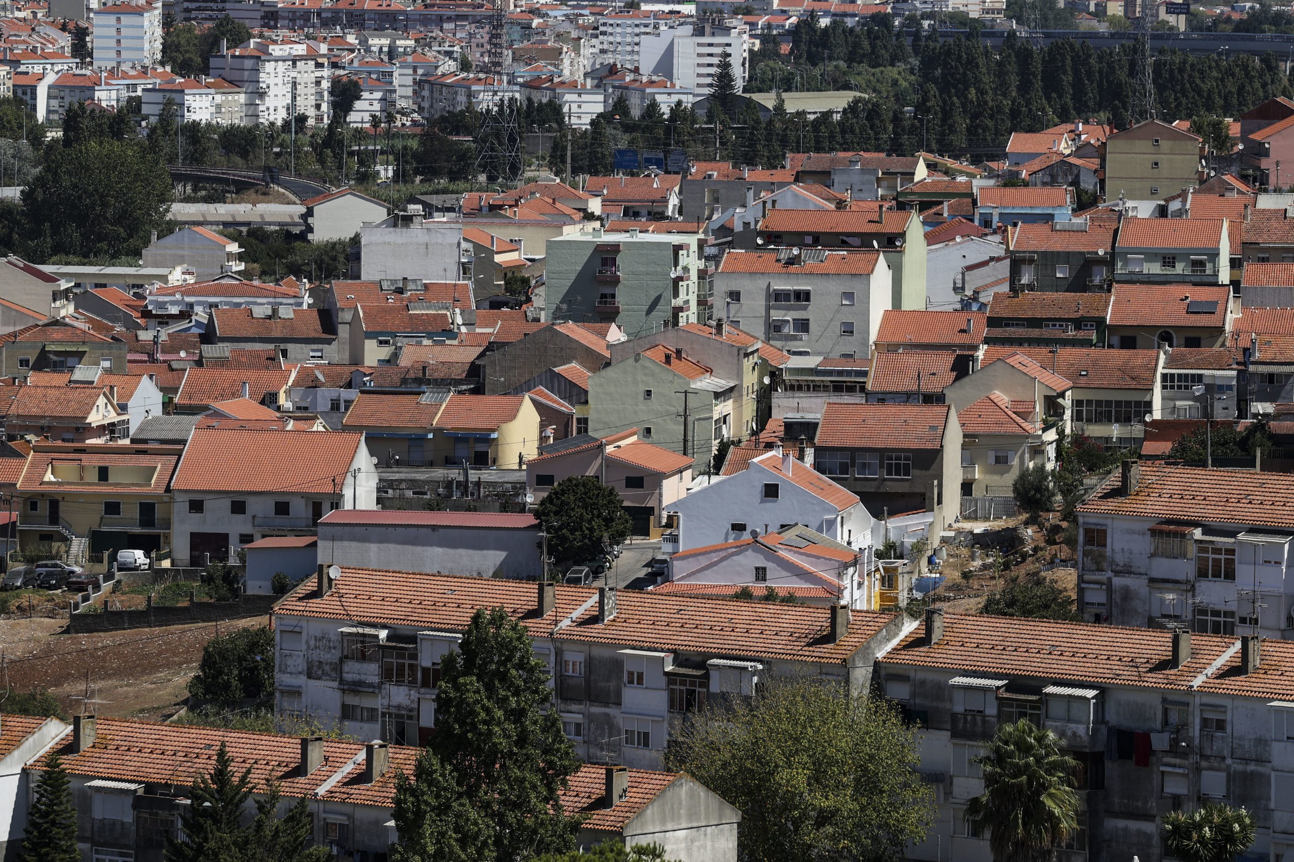 Câmara de Lisboa aprova programa Veredas para requalificar e arborizar vias públicas