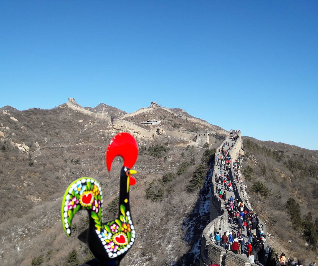 Uma volta ao Mundo à ‘boleia’ do Galo de Barcelos