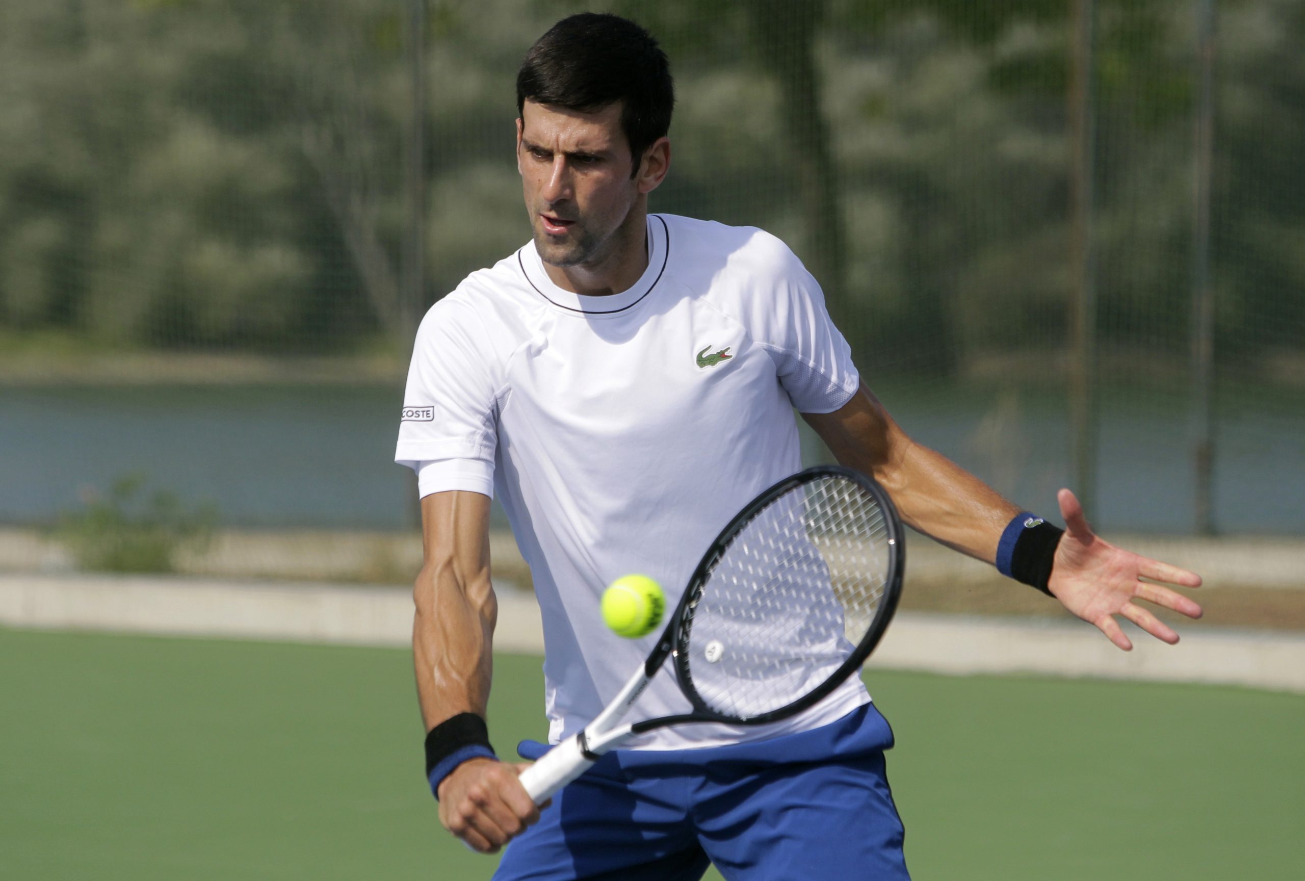 Ténis: Djokovic sobe a número dois mundial, Halep vai terminar época na liderança feminina