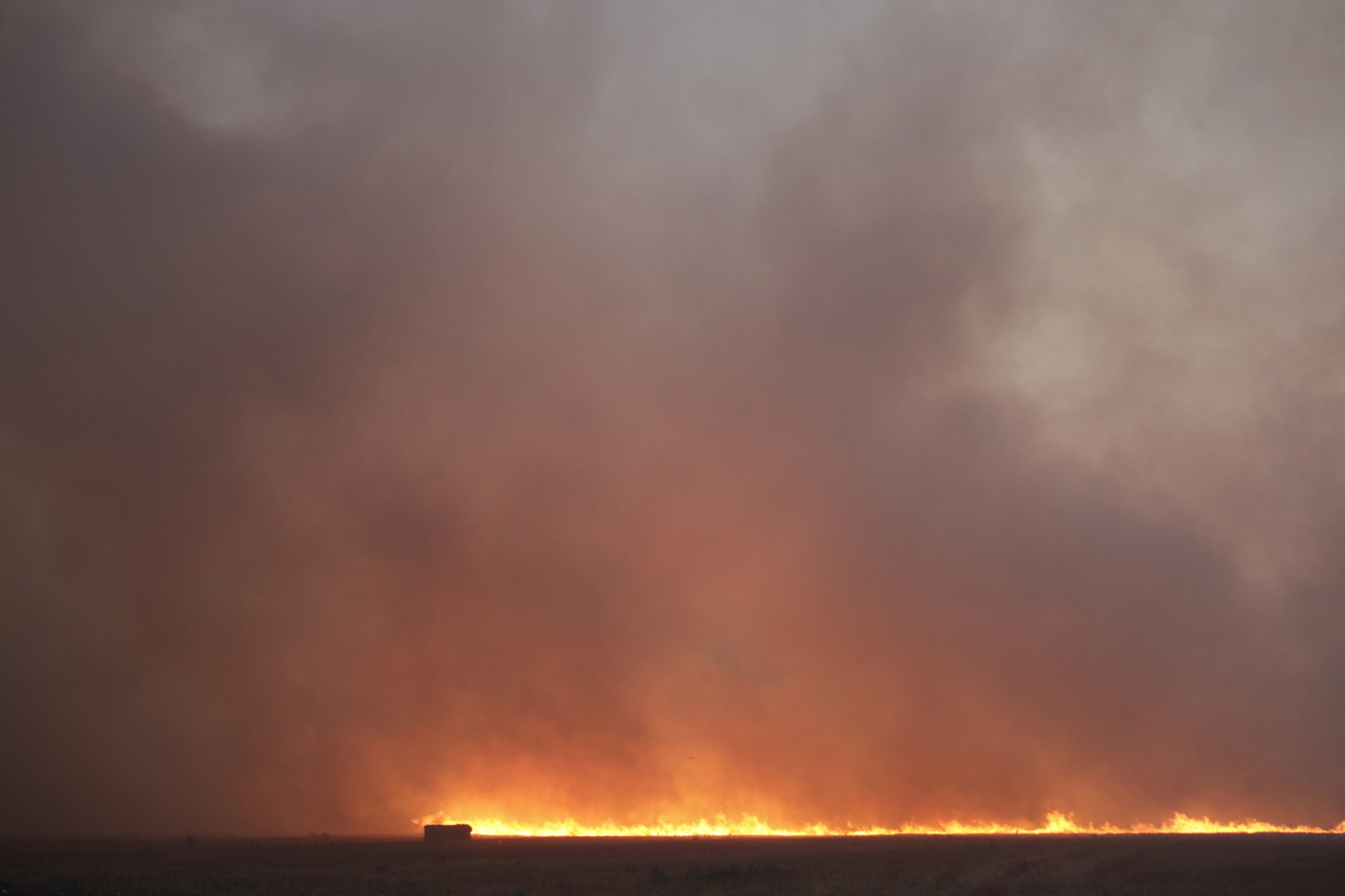 Greenpeace. Incêndios e ondas de calor são alerta para urgência de controlar o clima