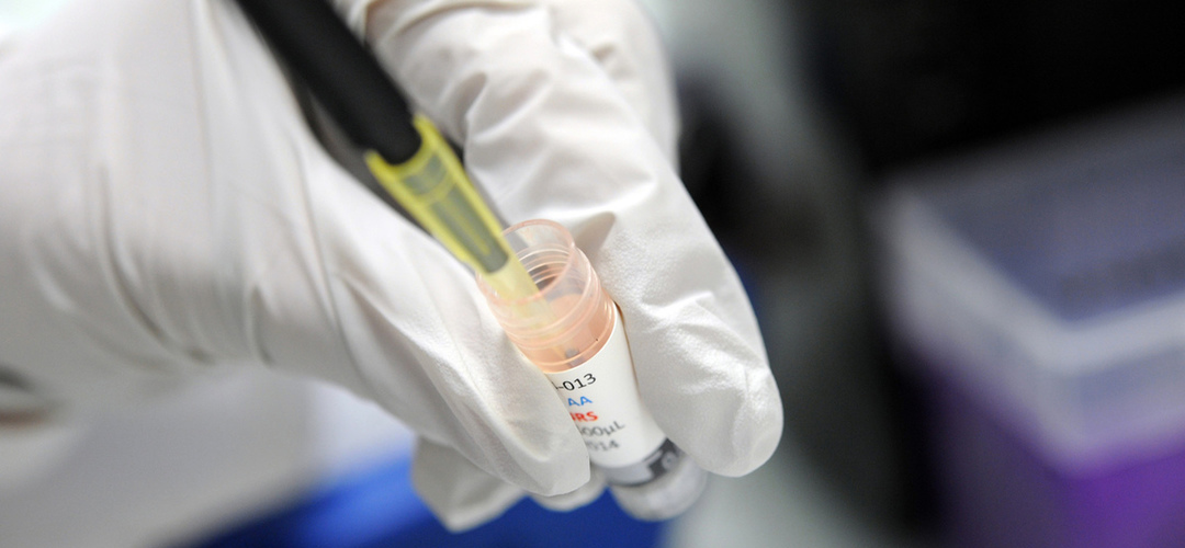 Escola do Entroncamento vence prémio internacional com ‘kit’ de rastreio do cancro da mama