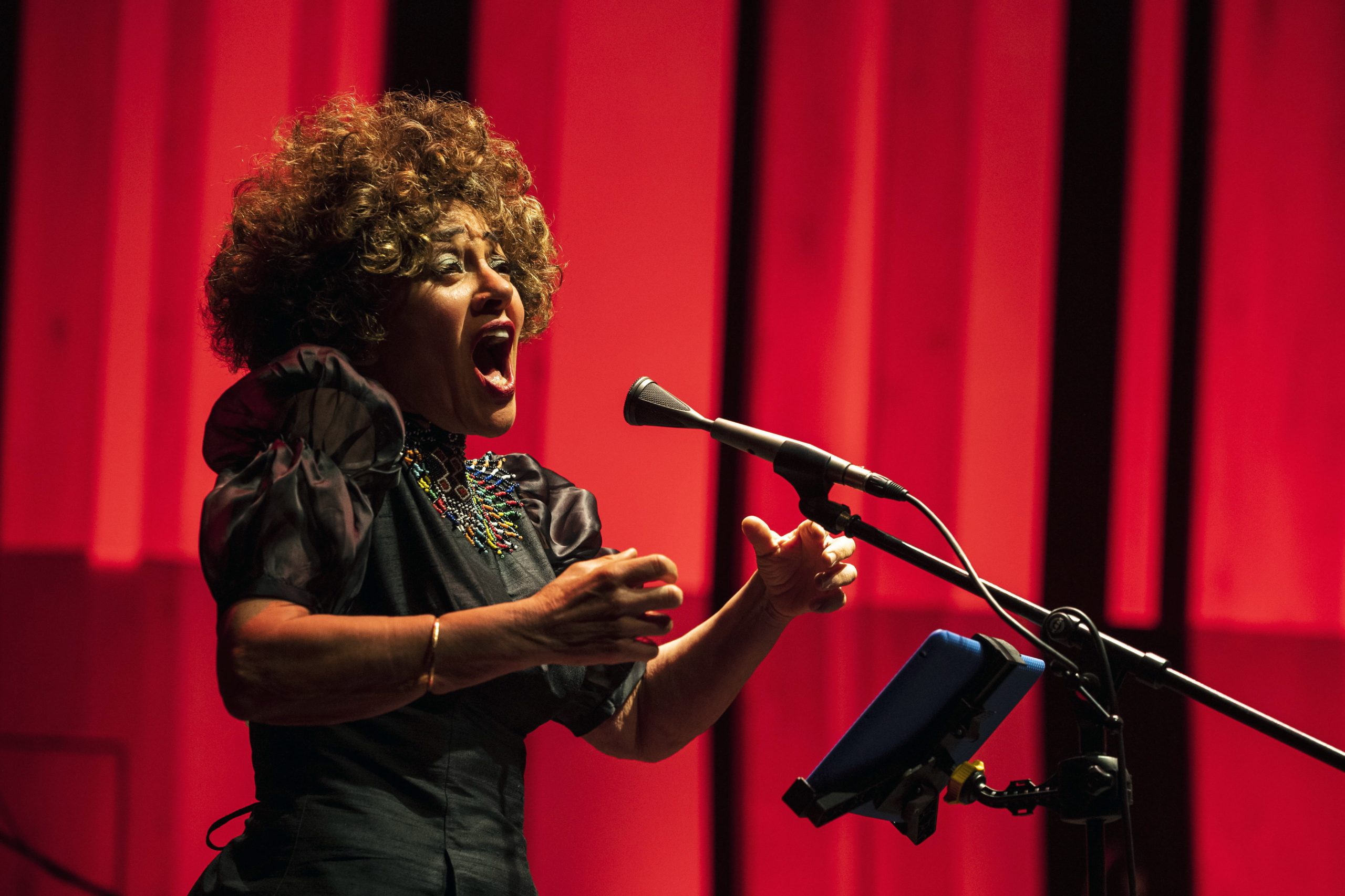 Maria João celebra 40 anos de carreira com o novo álbum “Abundância”. “Quis um disco que me refletisse, ainda vou a meio caminho”