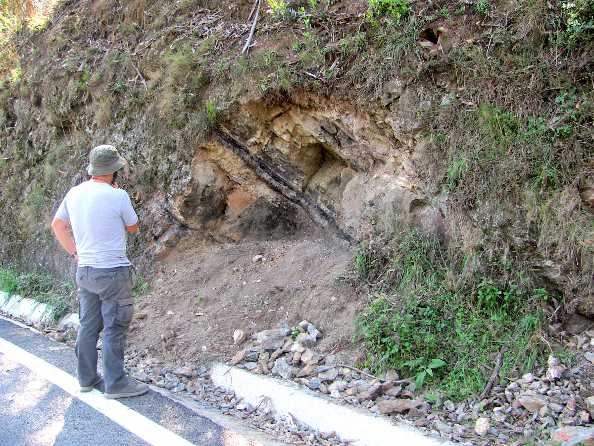 Fóssil raro descoberto no Bussaco. É de uma planta extinta há 300 milhões de anos. Veja as imagens
