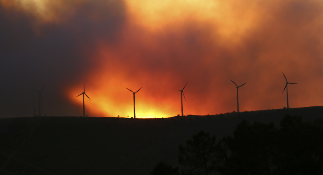 Incêndio em Oleiros. “No meio disto tudo, a gente nunca chega a saber quando há uma vingança”