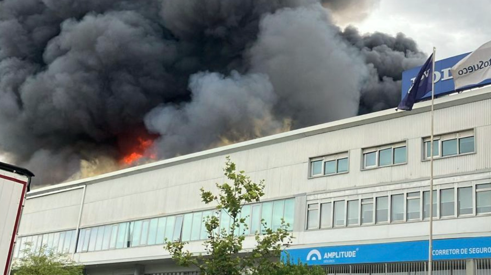 “Não há vítimas a registar e o incêndio está circunscrito.” Mais de 140 operacionais combatem incêndio em empresa de automóveis no Porto.