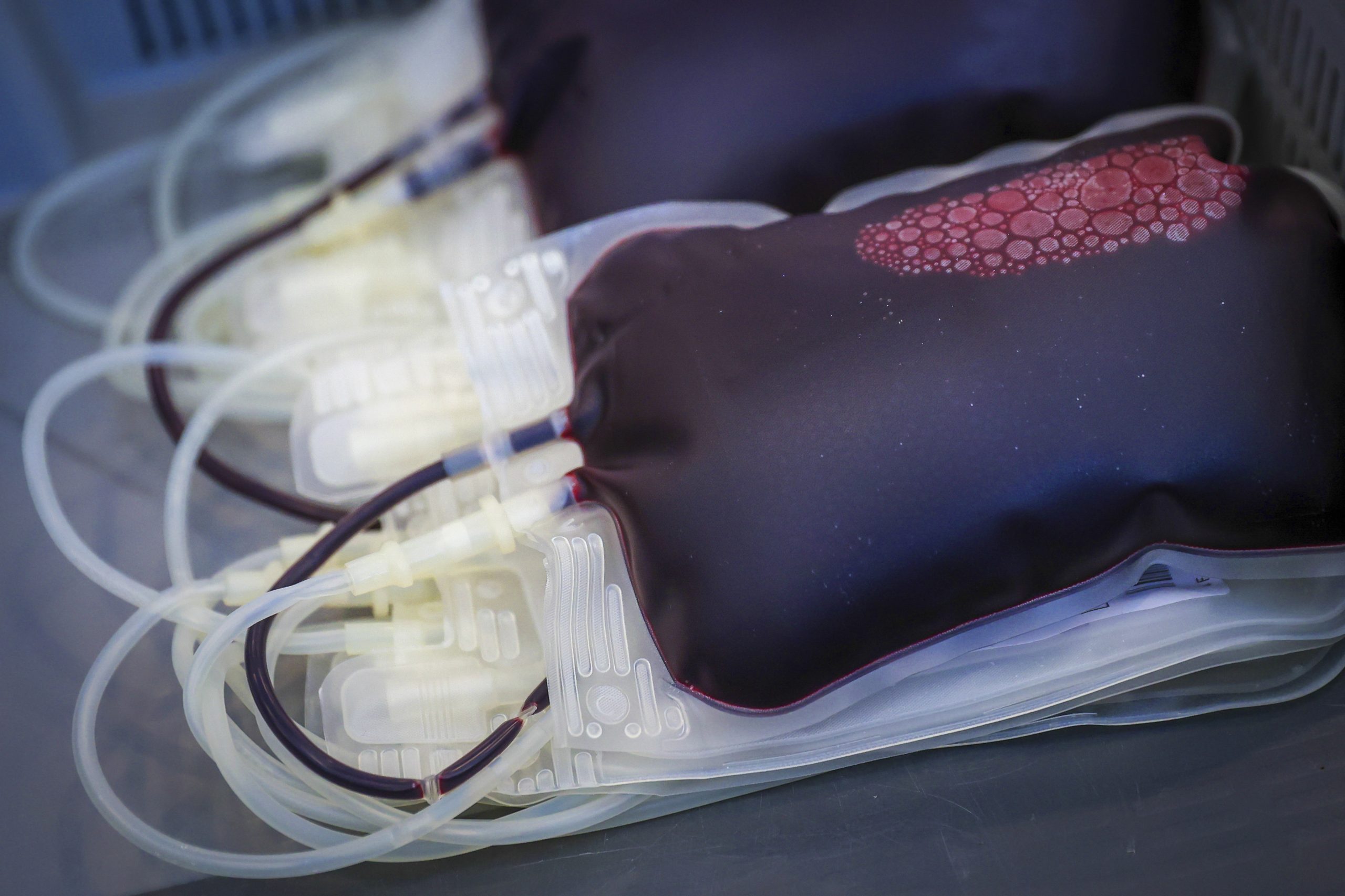 Sindicato dos Médicos do Norte denuncia condições no Centro de Sangue do Porto e alerta para riscos na segurança das transfusões