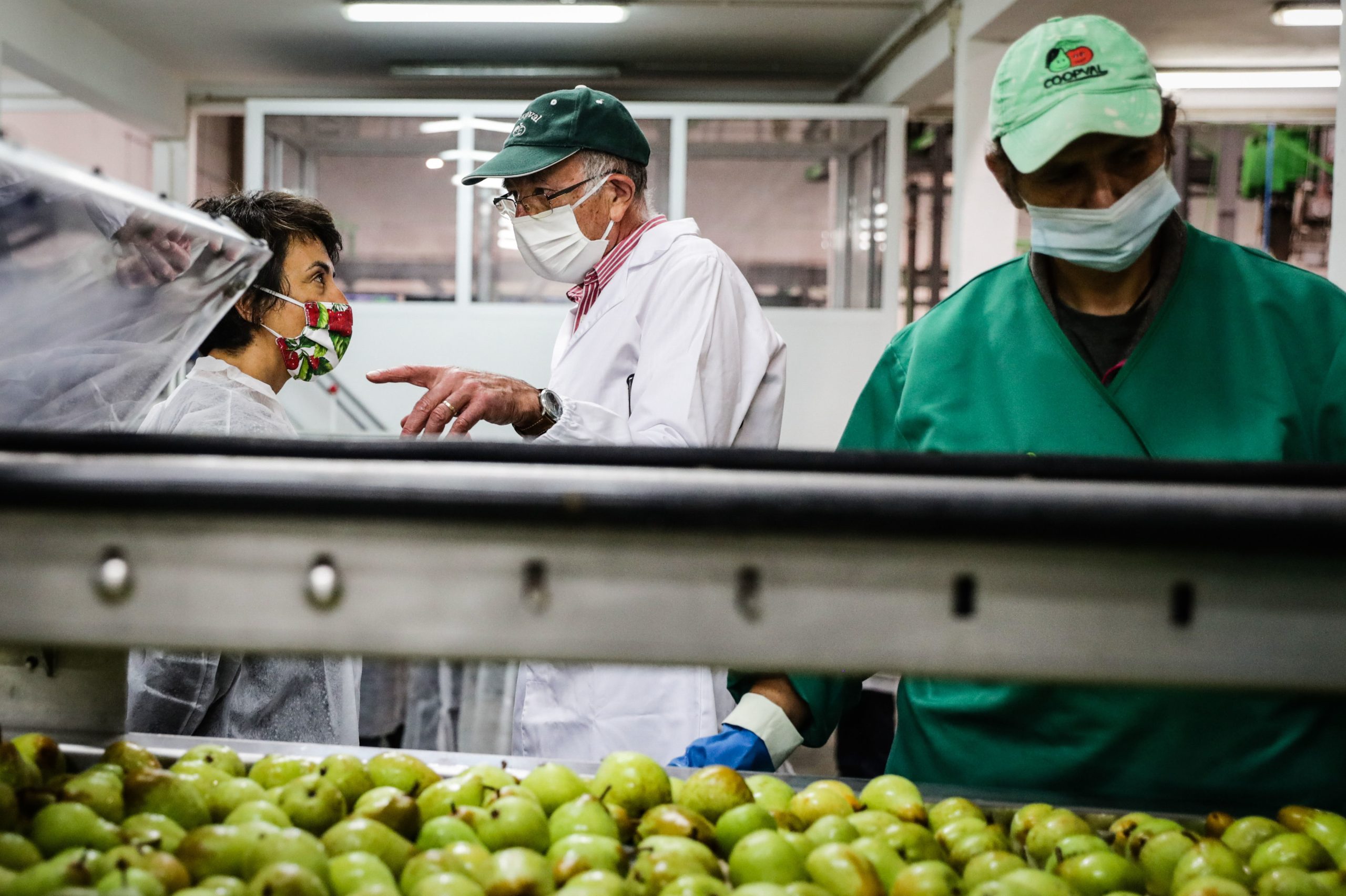 Pera Rocha do Oeste com quebras de 50%