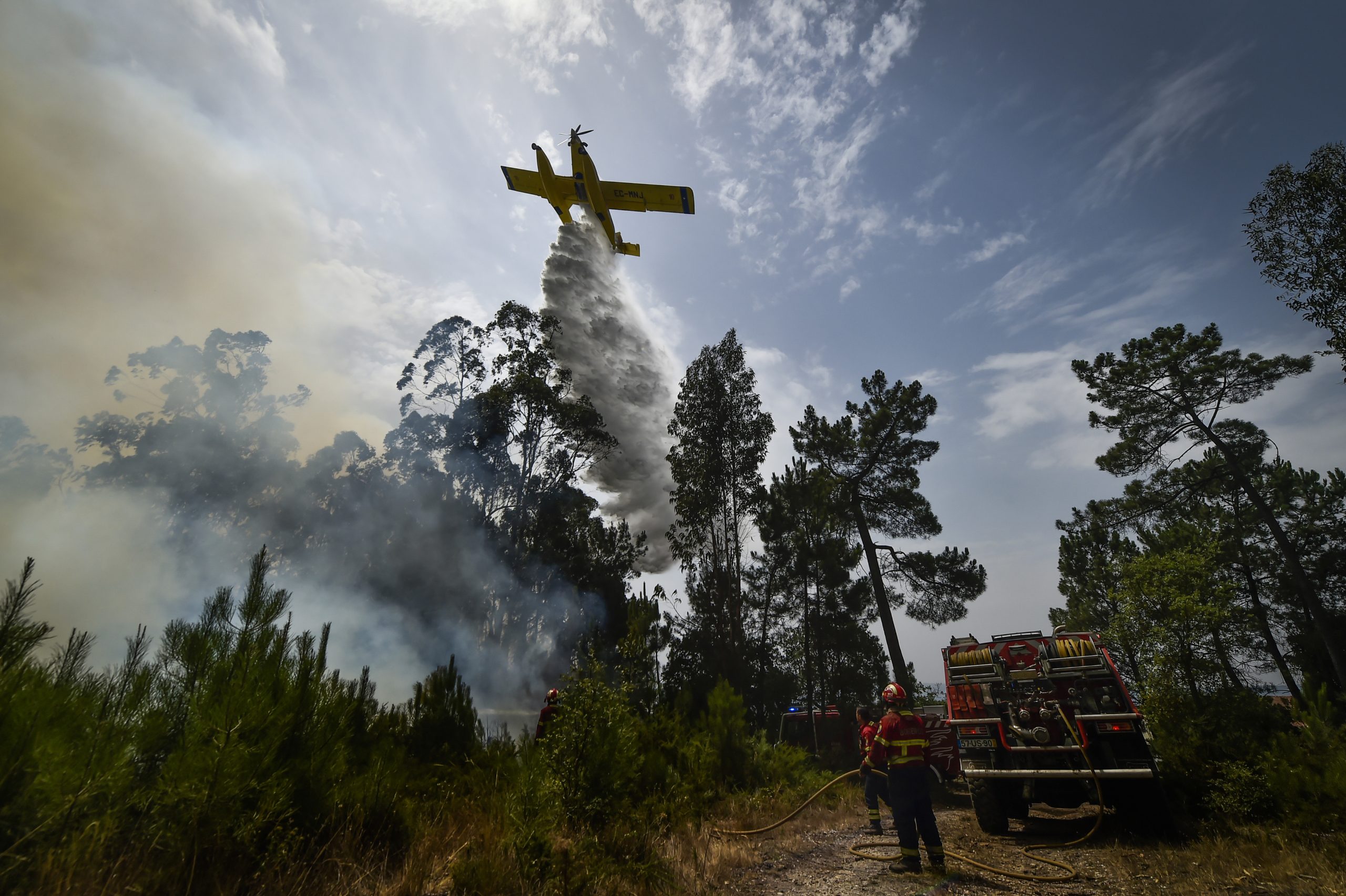Incêndio em zona de eucaliptos no concelho de Loures