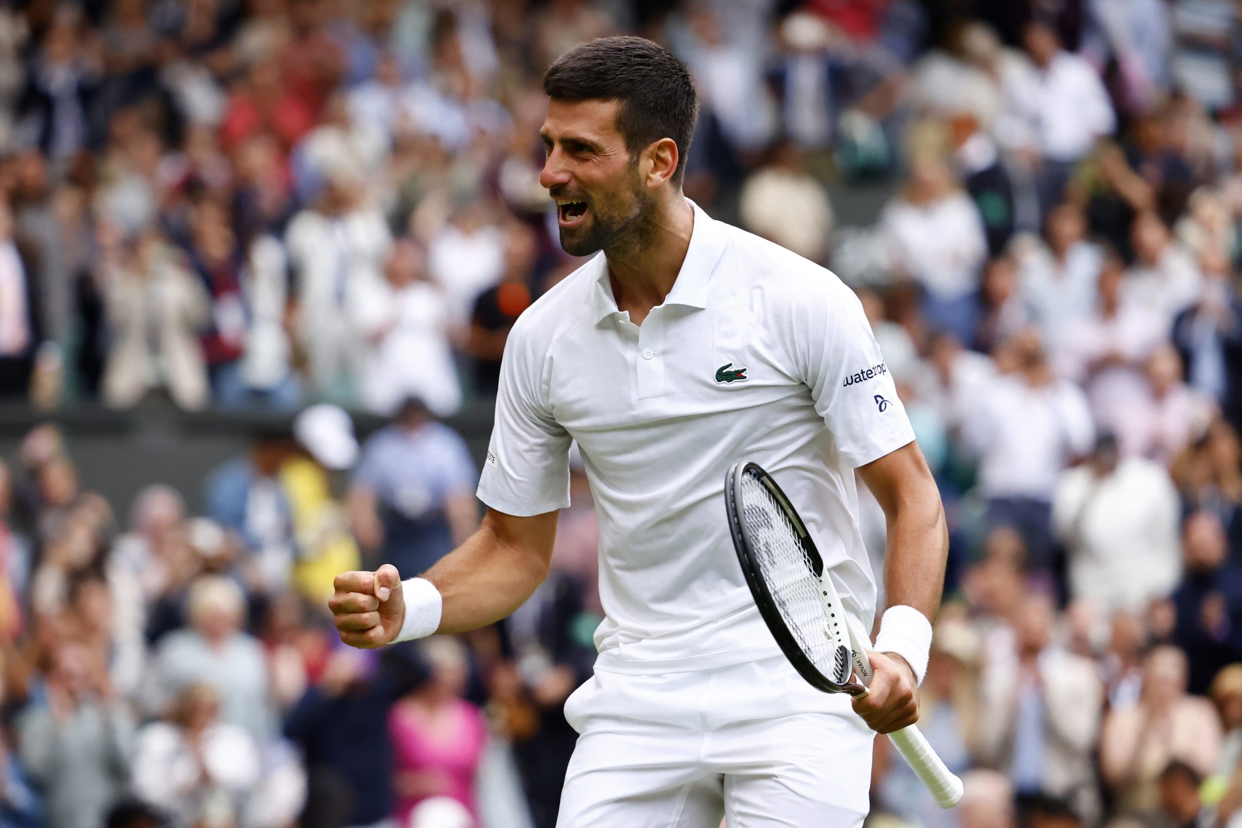 Djokovic apura-se para as meias-finais de Wimbledon pela 12.ª vez na carreira