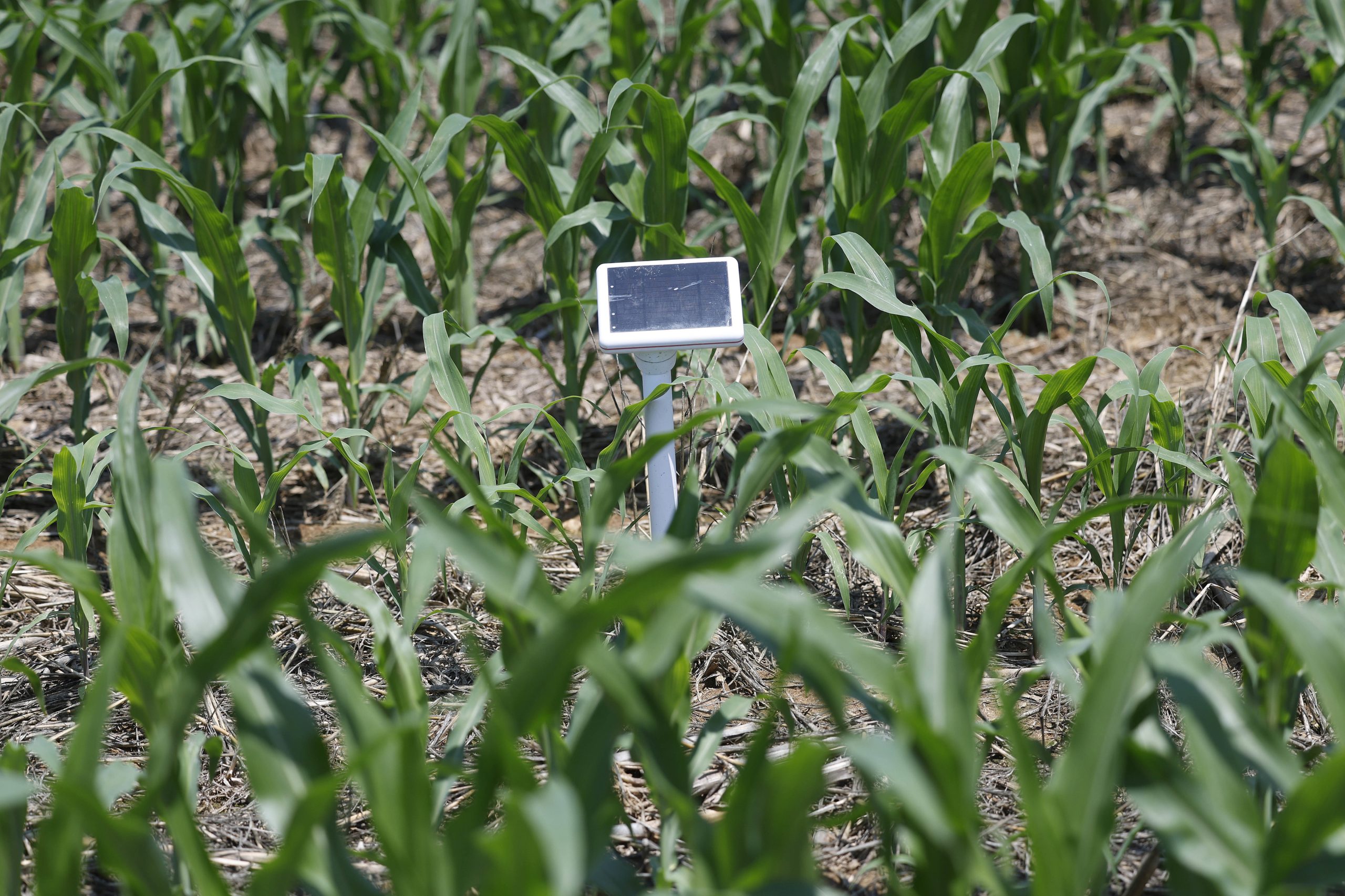 Na Quinta da Cholda produz-se mais com menos água com ajuda da tecnologia