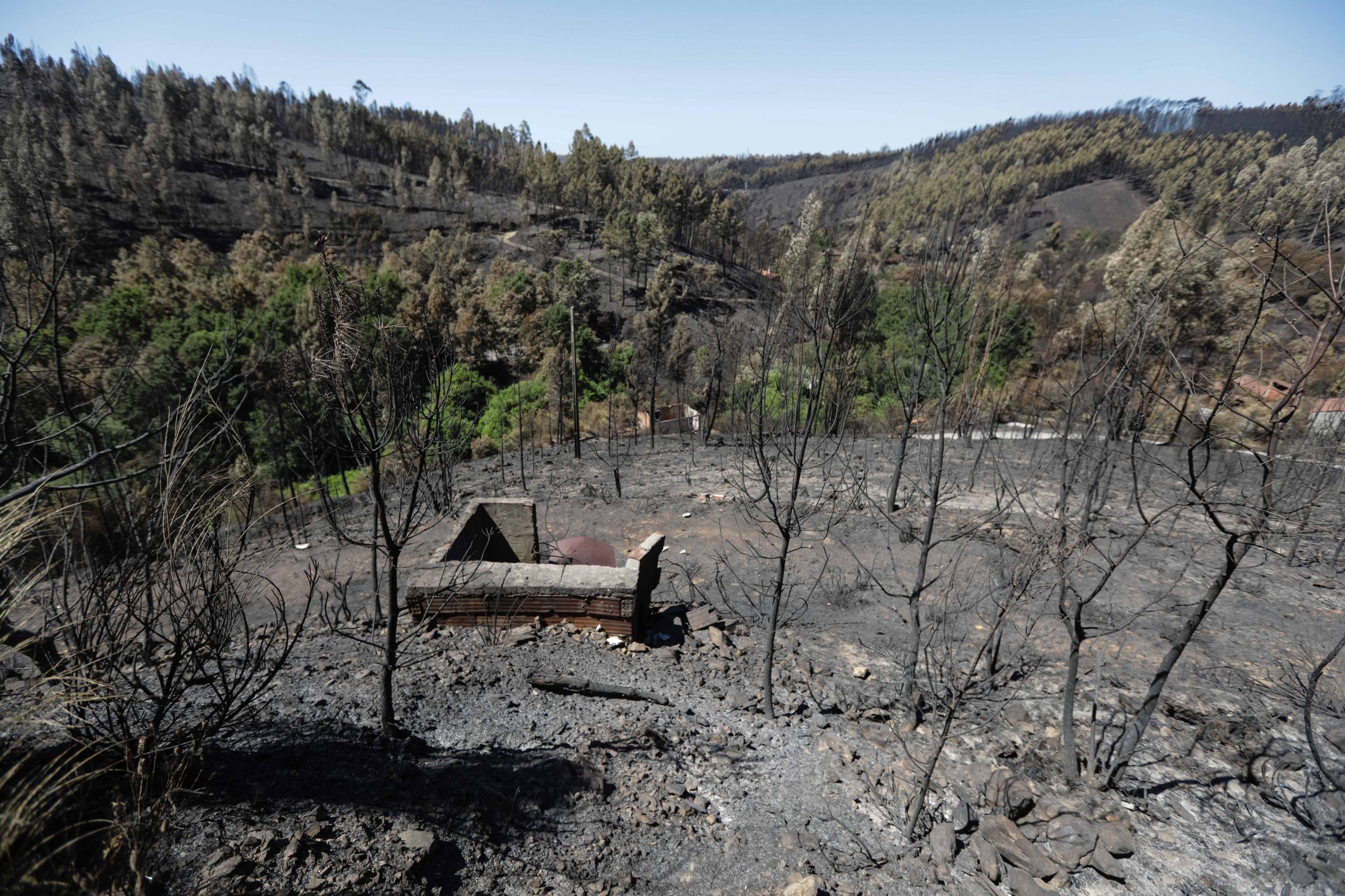 Pedrógão Grande. Agricultura familiar retoma produção, mas alguns residentes ainda hesitam