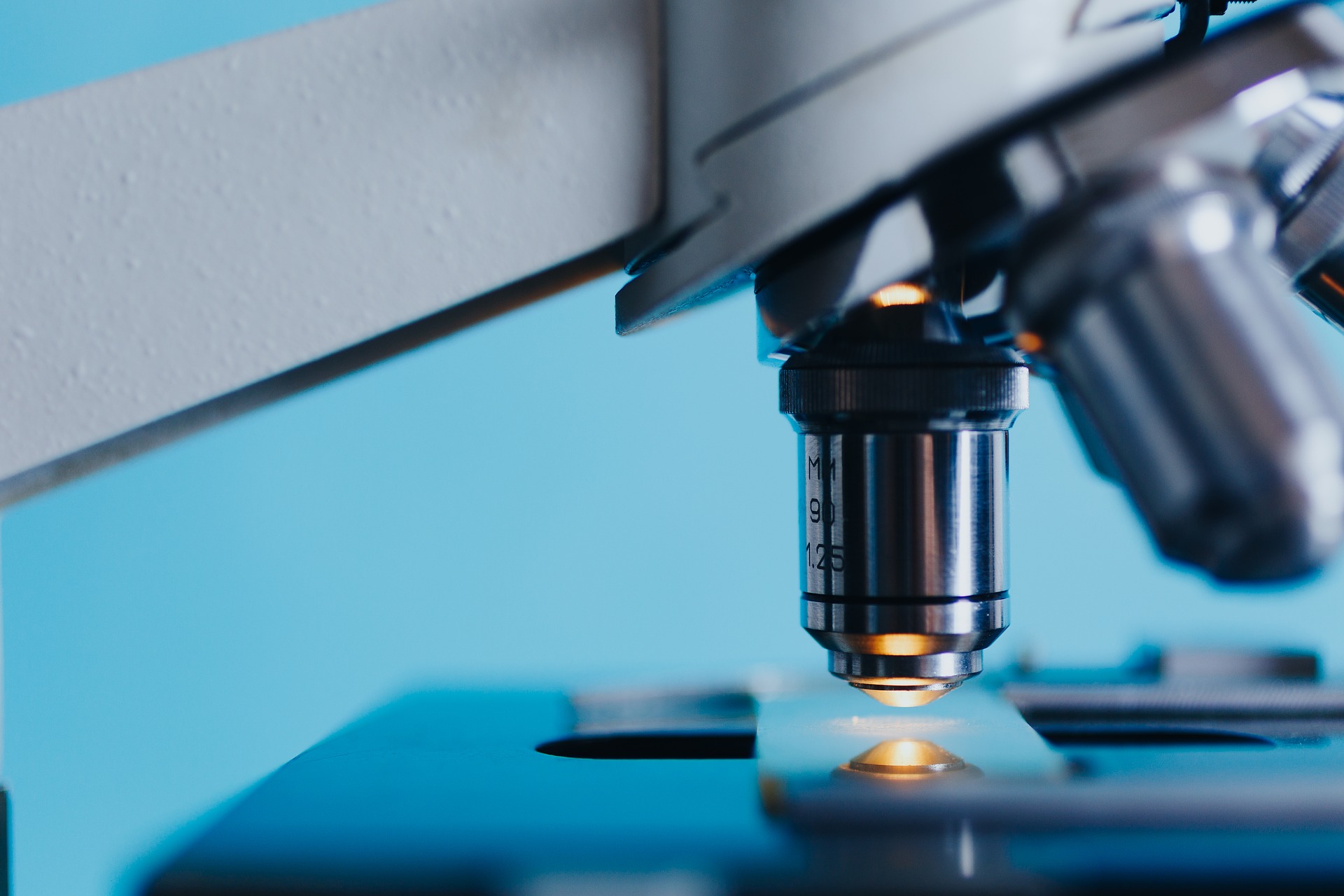 Despesa da Fundação para a Ciência e Tecnologia aumentou cerca de 9% em 2022