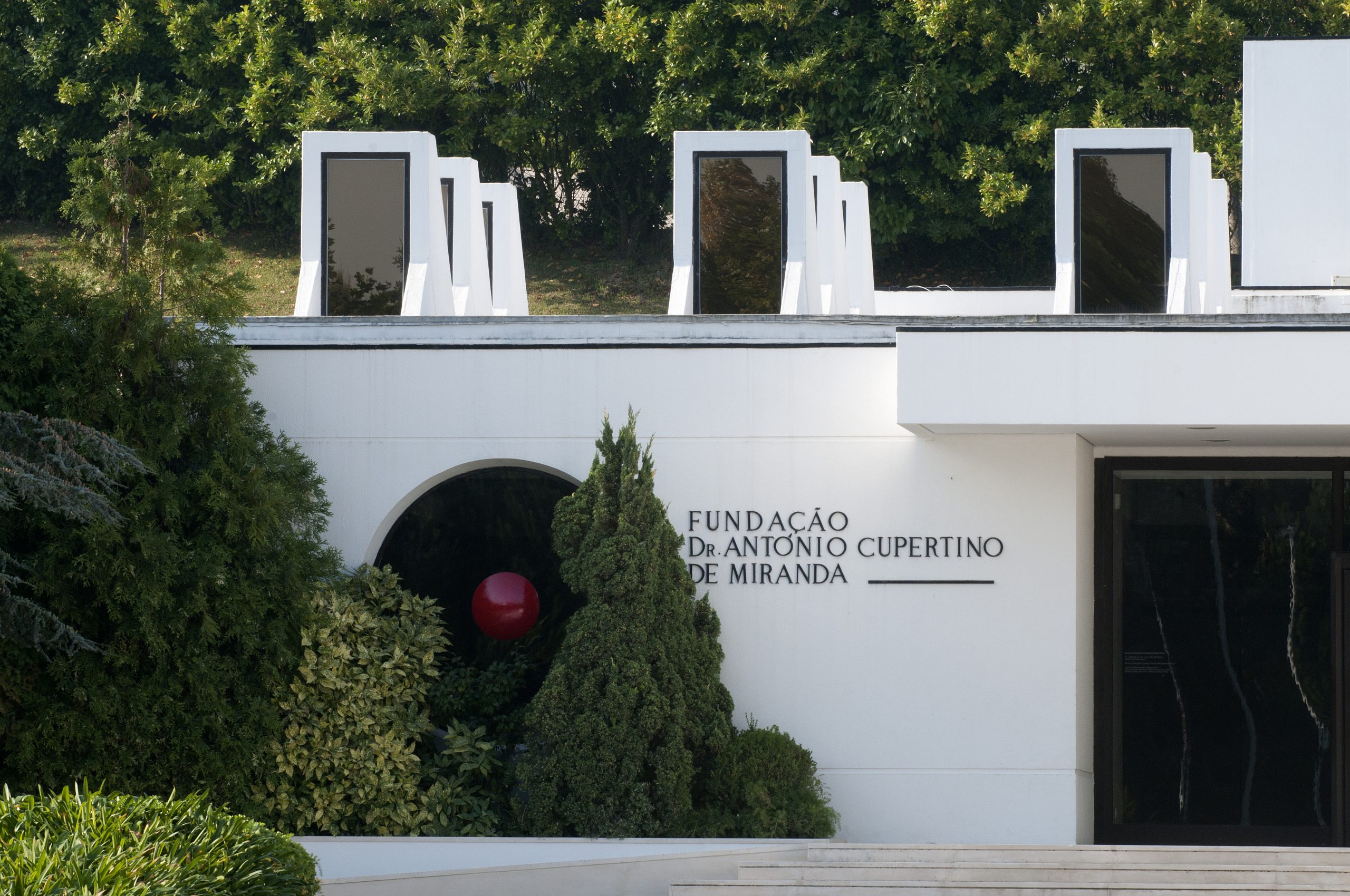 Como fazer o IRS? Fundação António Cupertino de Miranda promove sessão aberta no Porto
