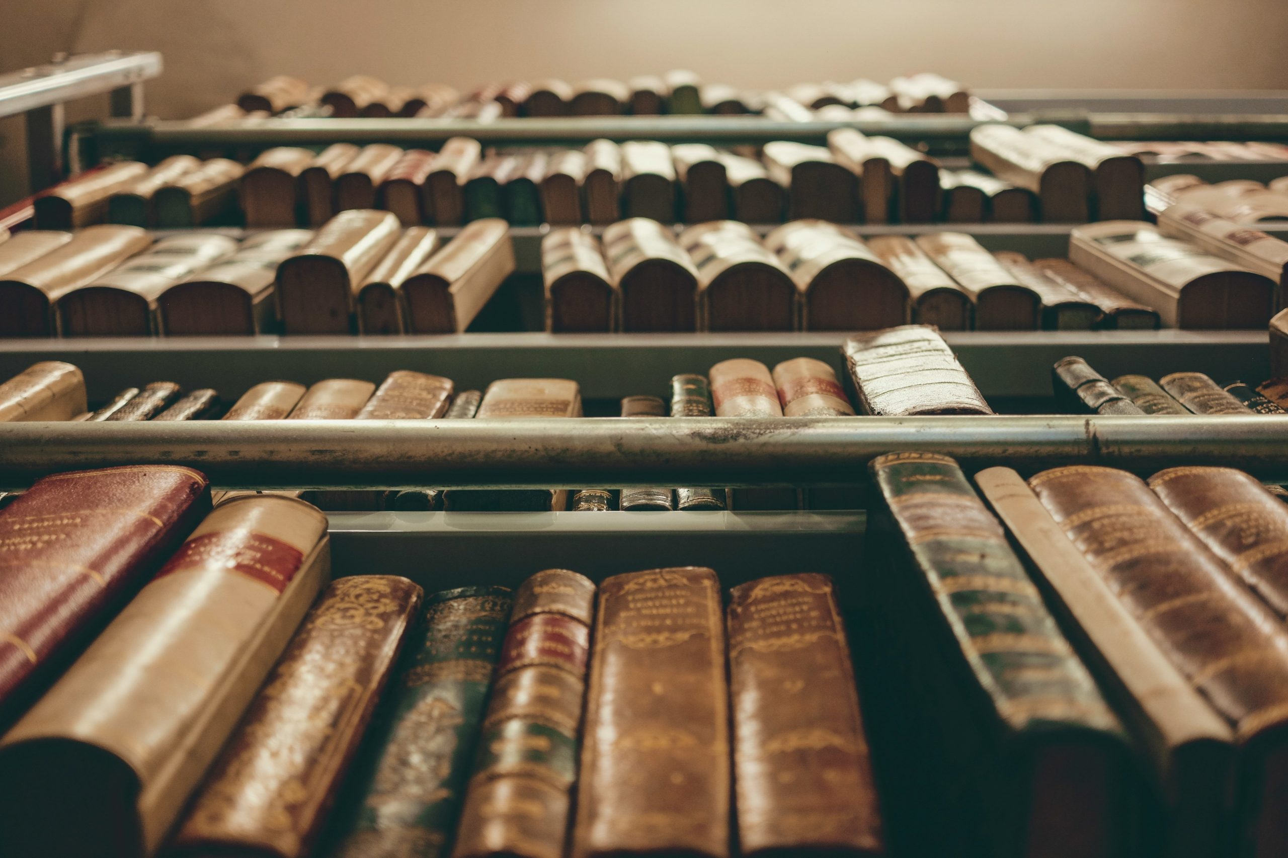 Esta é a história do maior roubo de clássicos russos de bibliotecas na Europa