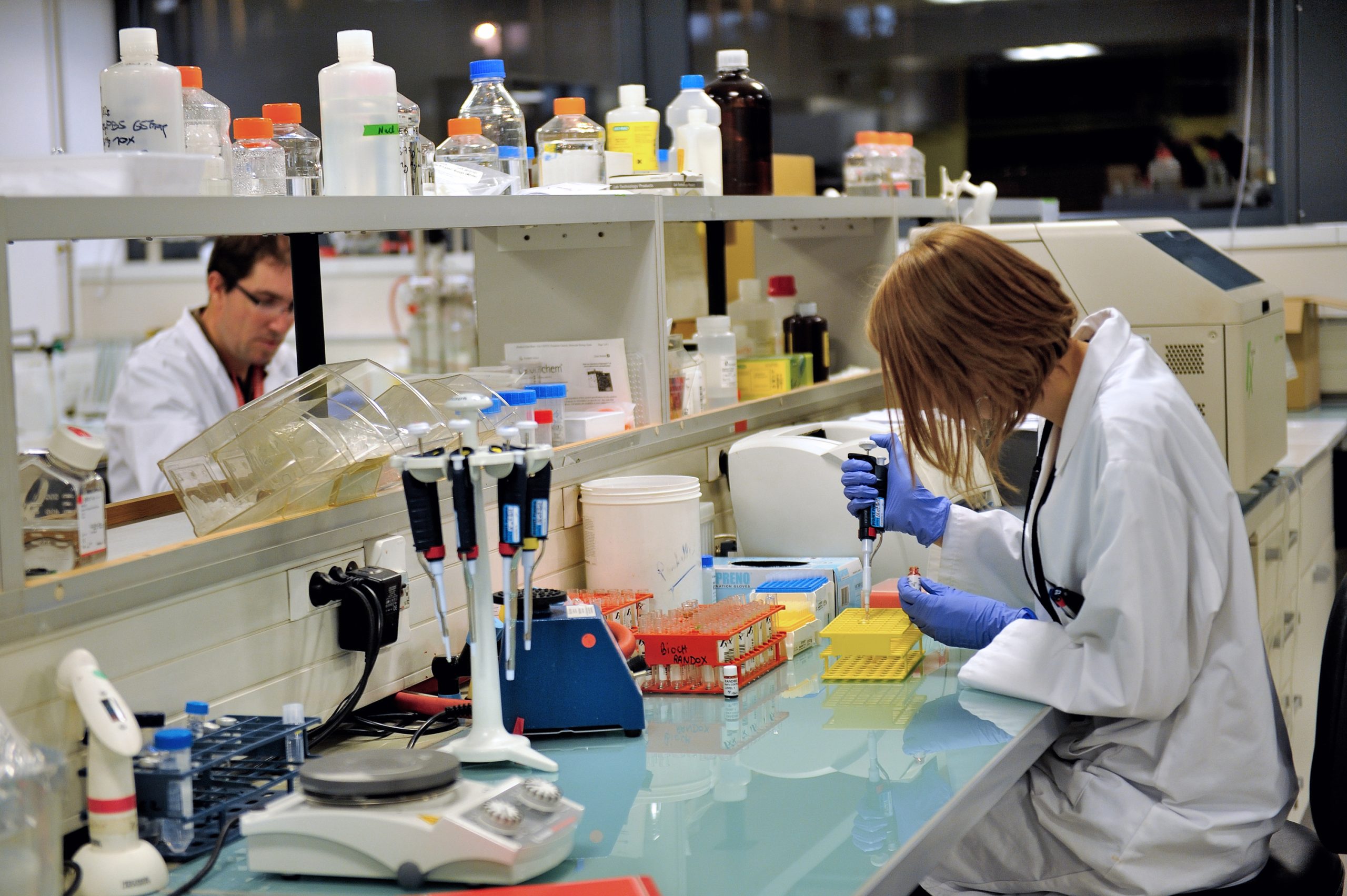 Oito cientistas portugueses ganham 16 milhões de euros em bolsas do Horizonte 2020