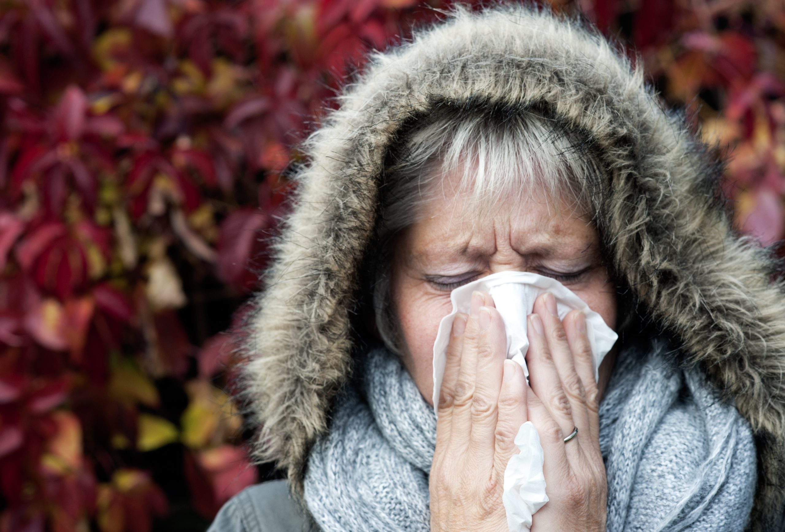 Gripe: Epidemia estabilizou em Portugal