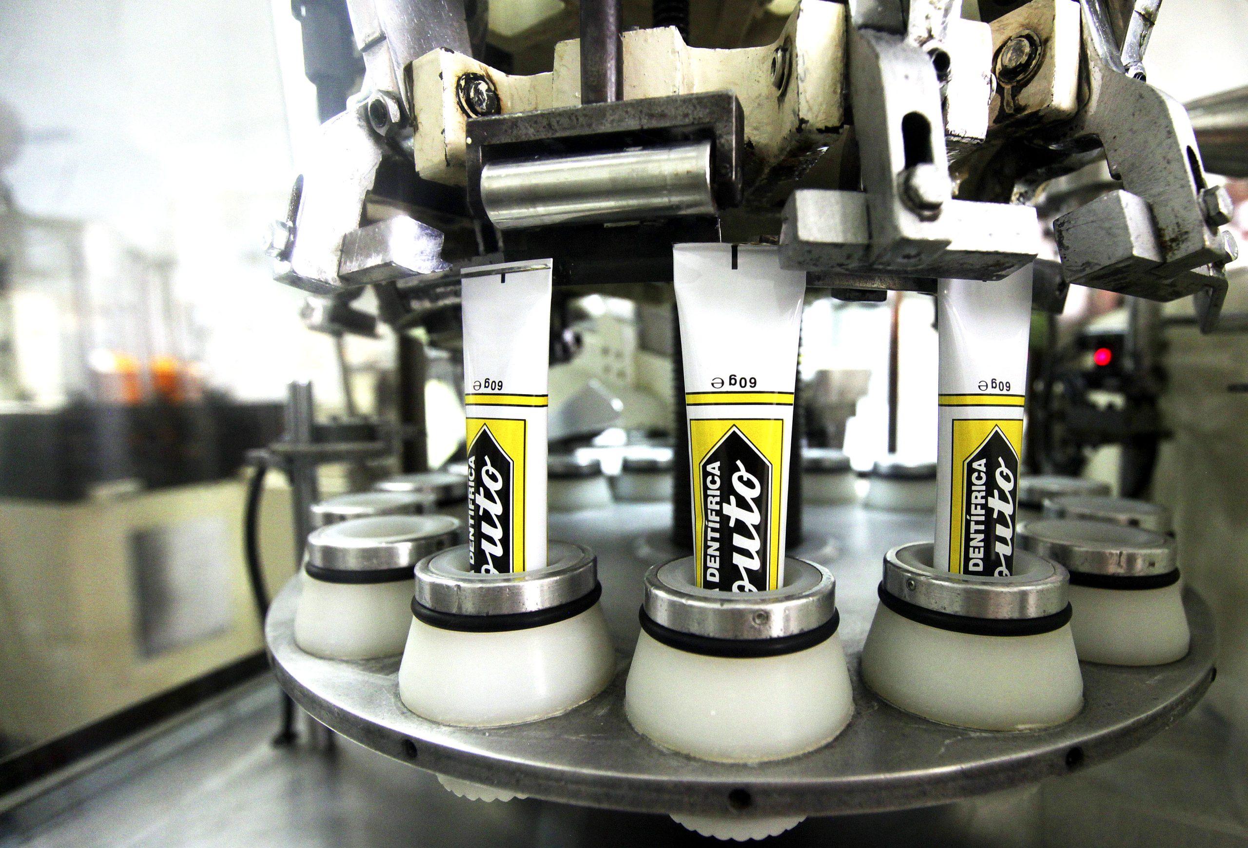 Amor, sul-coreanas e turismo levam marca Couto a abrir nova fábrica em 2022
