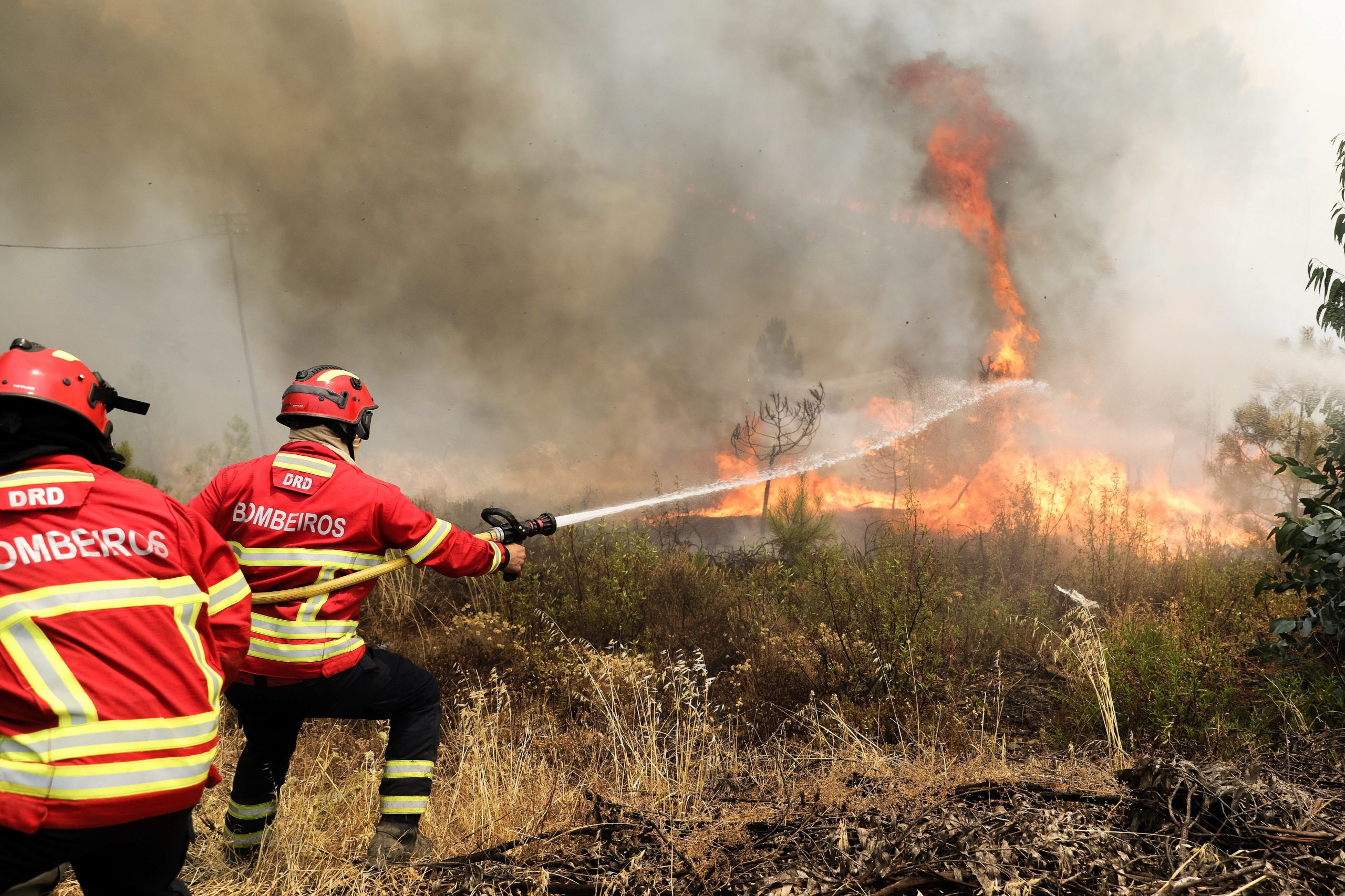 Mação. Fogo chega junto a habitações do centro de Cardigos e destrói quintais