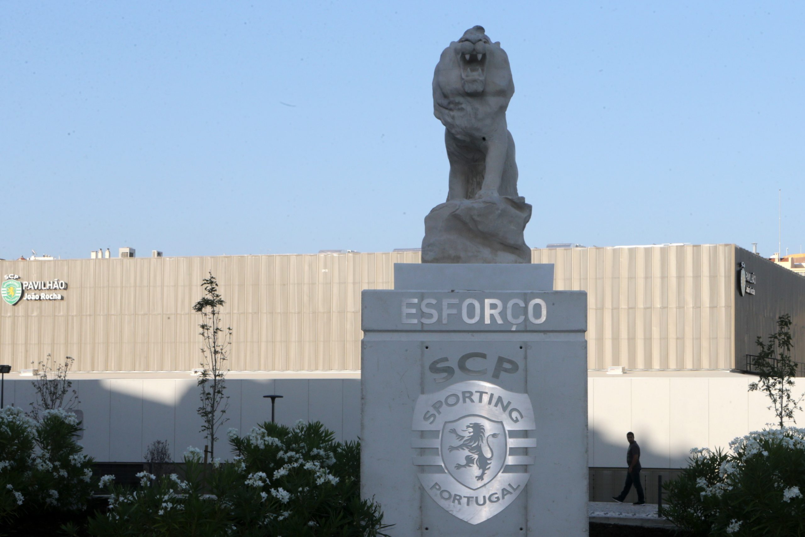 Adeptos do Sporting atacados junto a Alvalade. Clube já reagiu e repudiou veemente “os atos de violência gratuita”