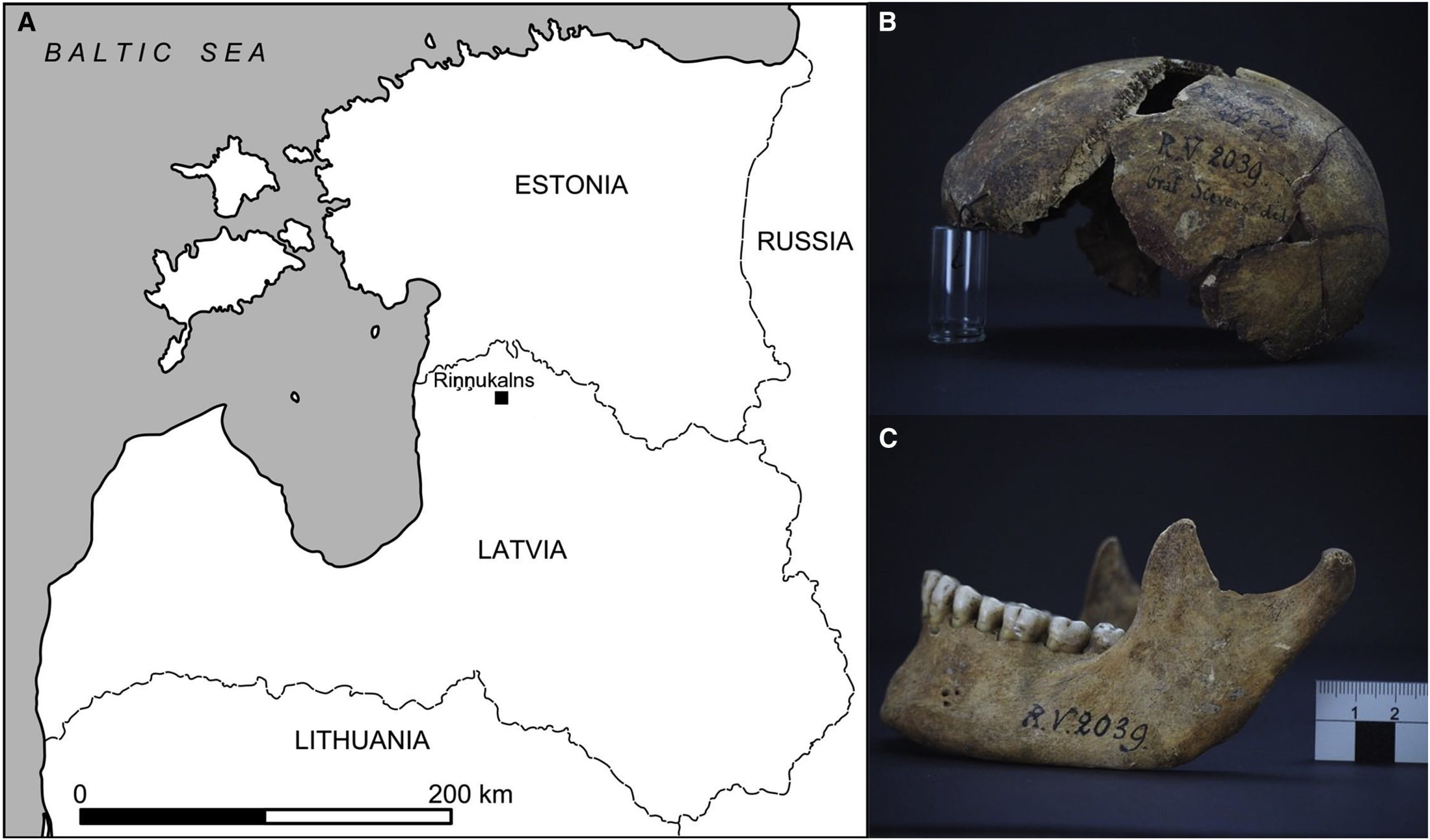 Descoberta a mais antiga vítima de peste. Era caçador-recolector e viveu há mais de 5.000 anos