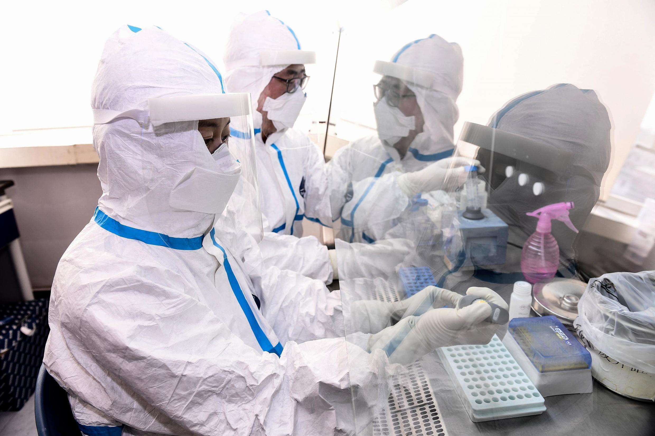 Covid-19: Mutação encontrada no Brasil pode ser tão contagiosa quanto a do Reino Unido