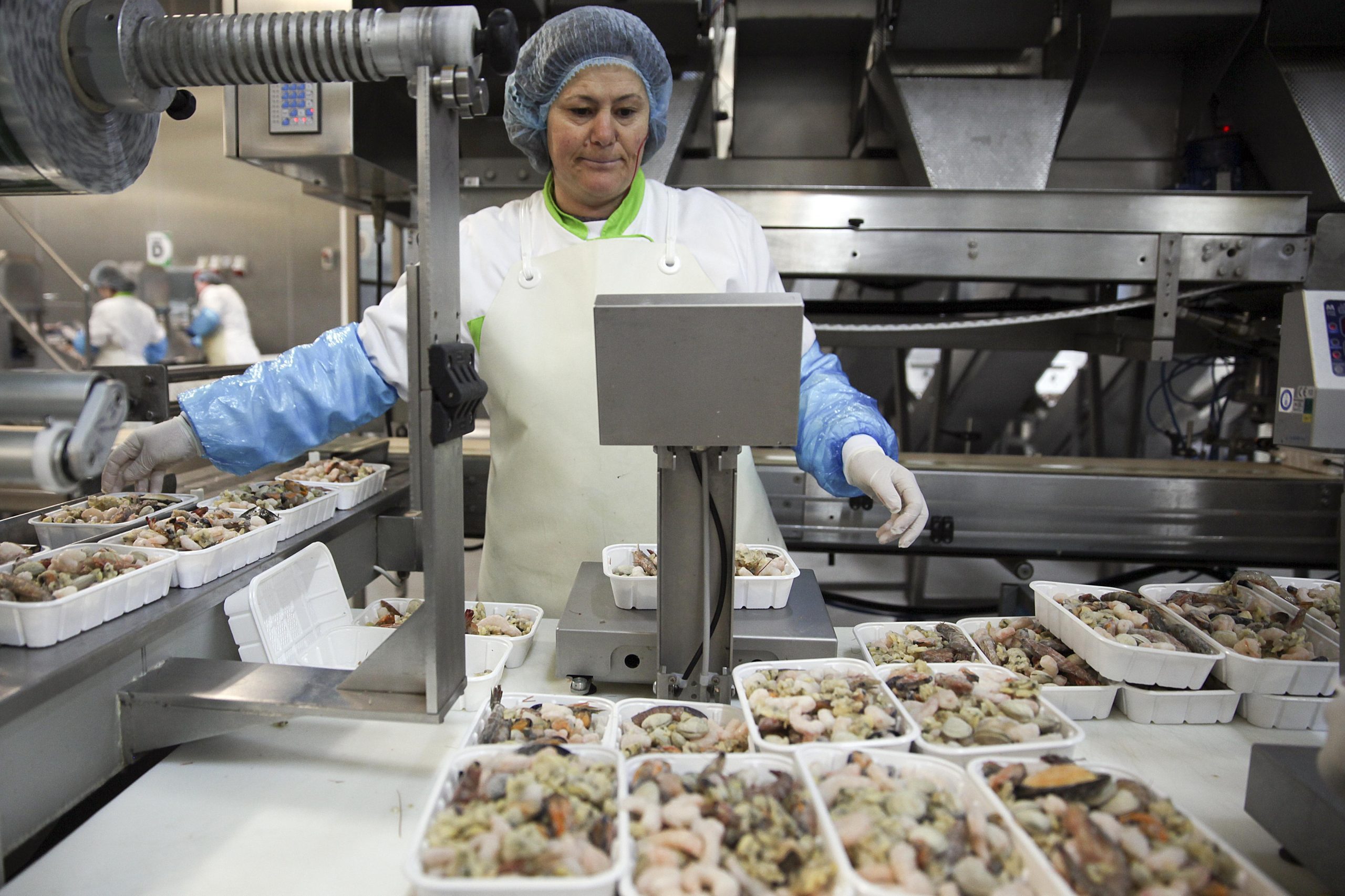 Exportações de alimentos congelados mantêm crescimento em 2016, diz estudo