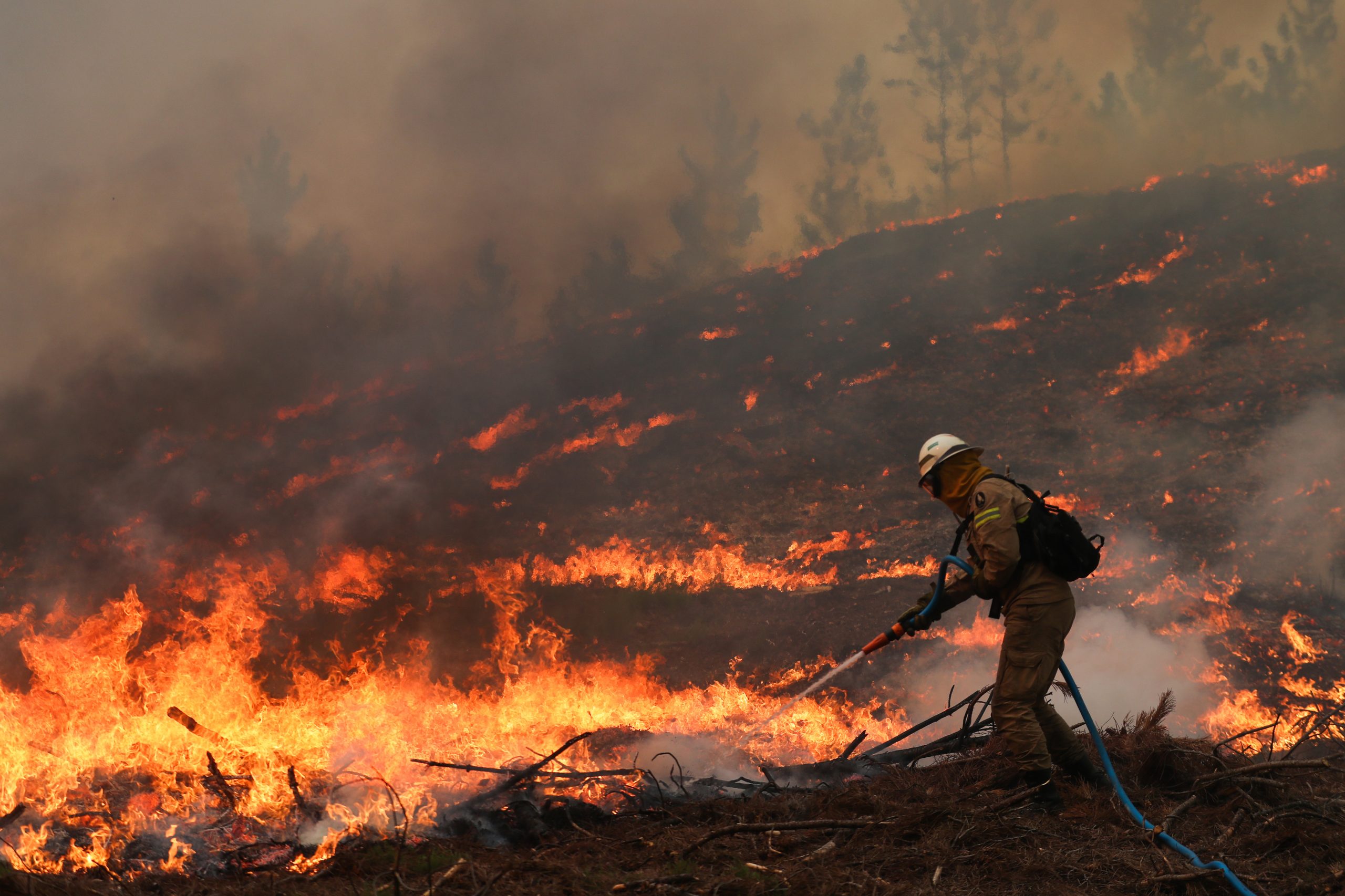 MAI defende “acordo político de médio e longo prazo” sobre reforma da floresta e o combate aos incêndios florestais
