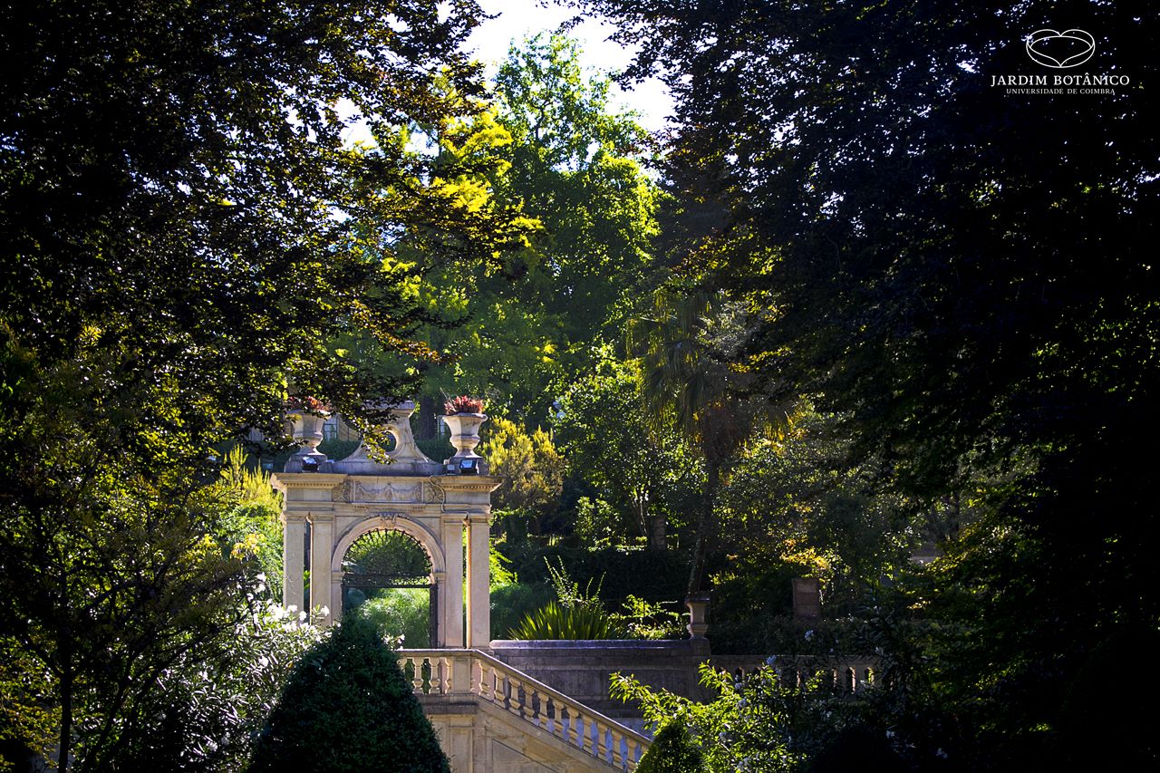 Jardim Botânico de Coimbra encerrado devido aos incêndios